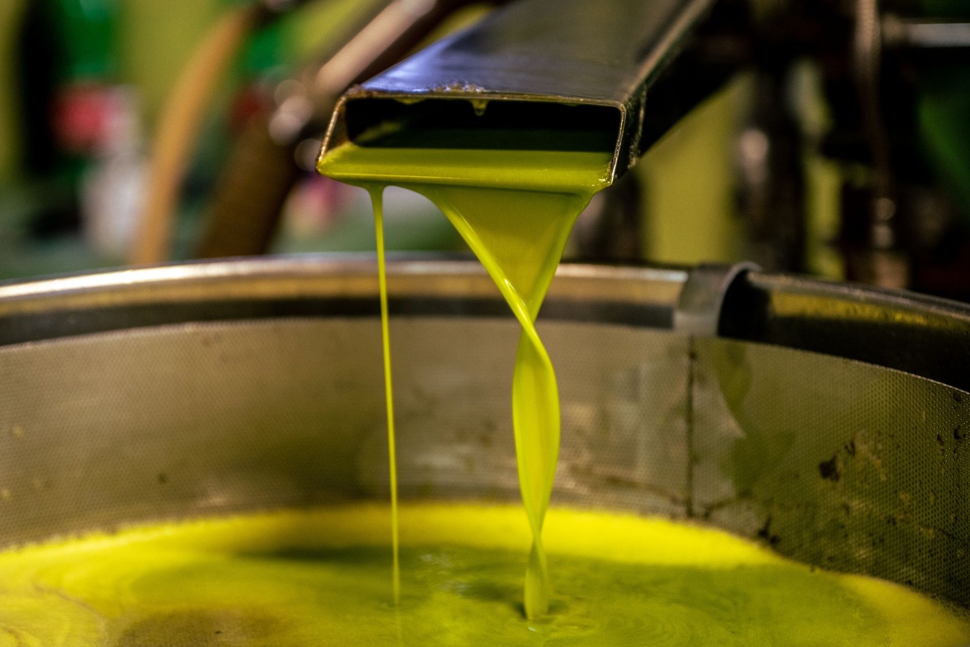 Educational Tour dell'Olio Extra Vergine di Oliva Toscano