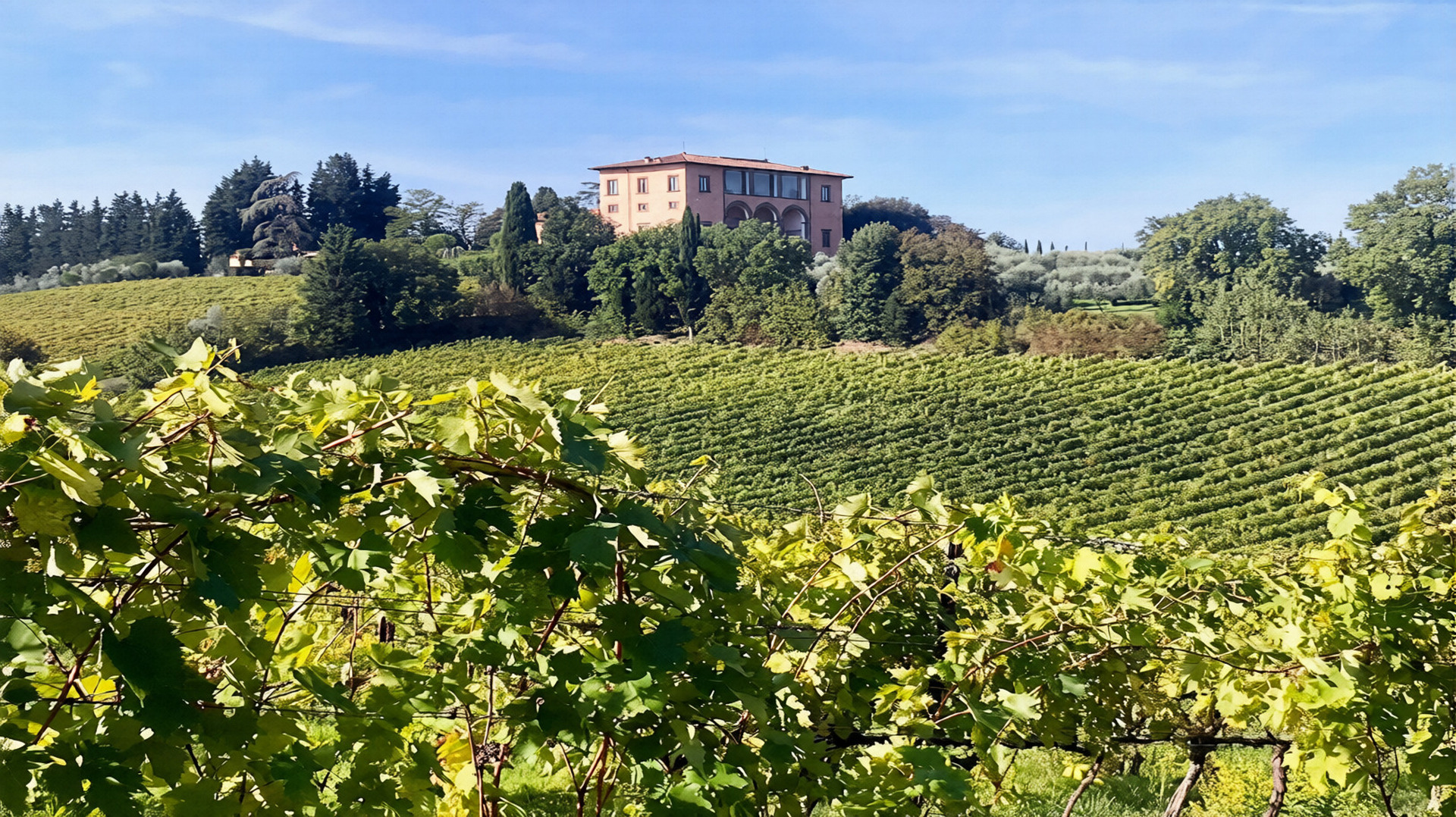 Villa Vistarenni tra i vigneti di Gaiole in Chianti