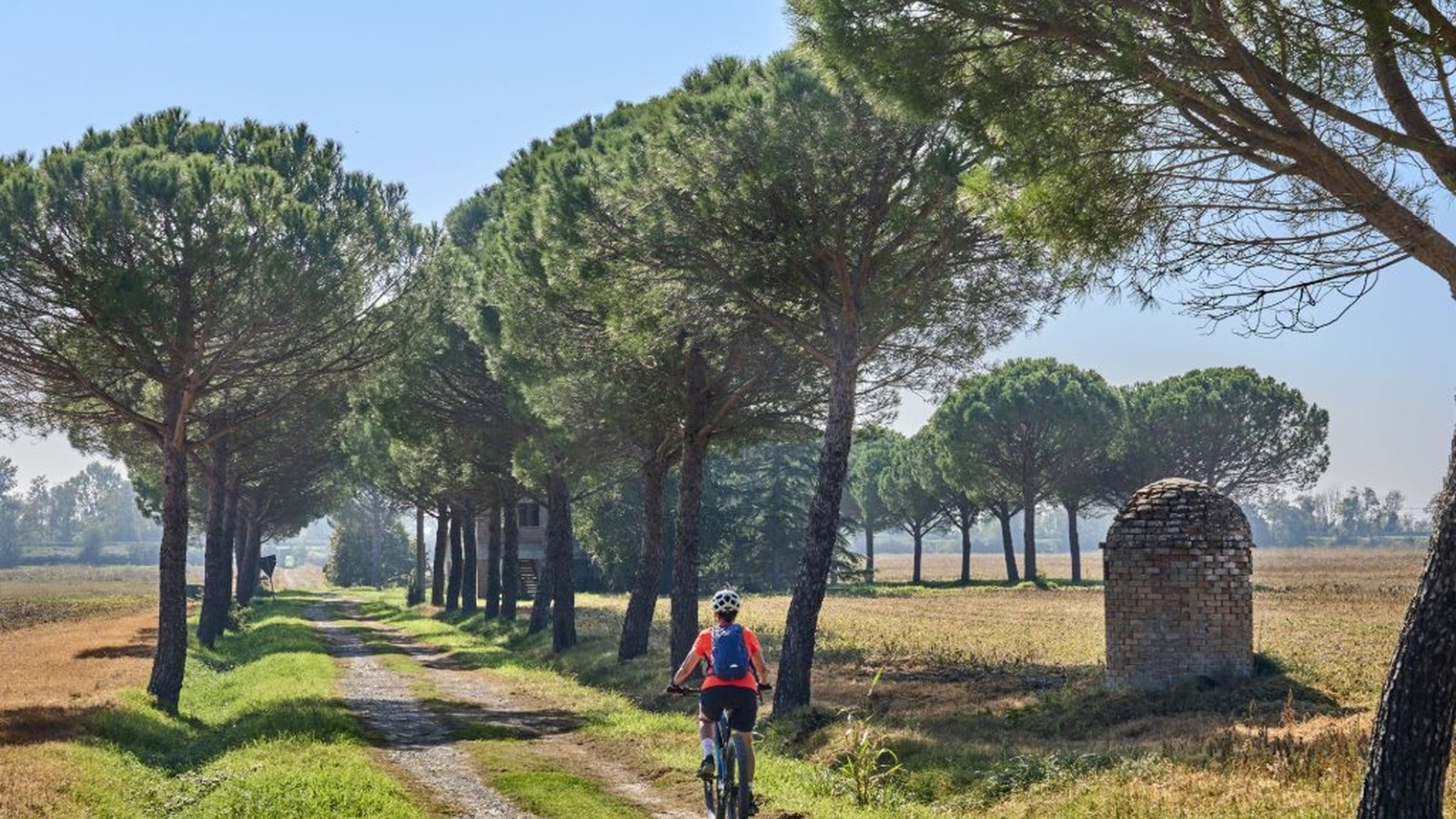 E-bike self-guided tour among Bibbona and Bolgheri
