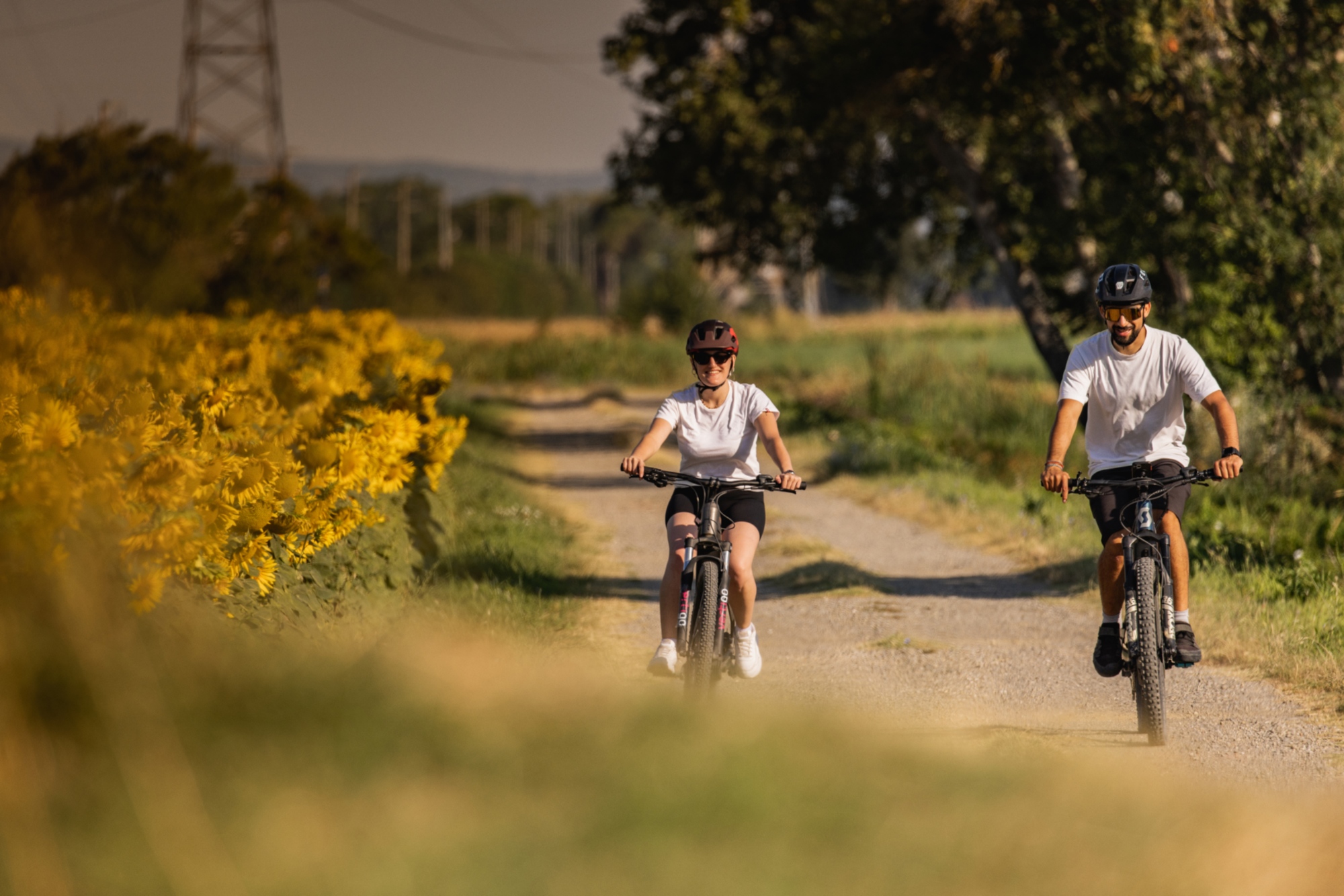 Un tour in eBike per scoprire il territorio della Valdichiana e degustare il vino di una cantina locale