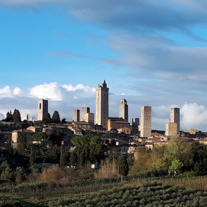 Guided tour in the center of San Gimignano