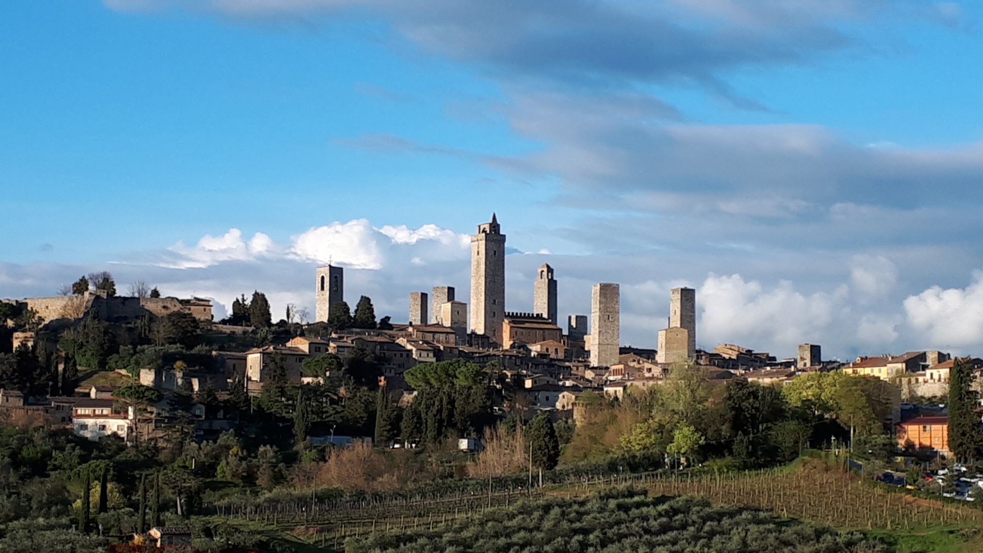 Guided tour in the center of San Gimignano