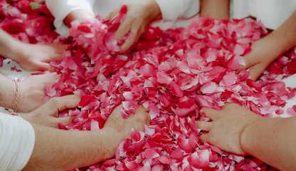 A rose petals harvest experience in a organic farm, which produces syrups and preserves from the petals, in Chianti