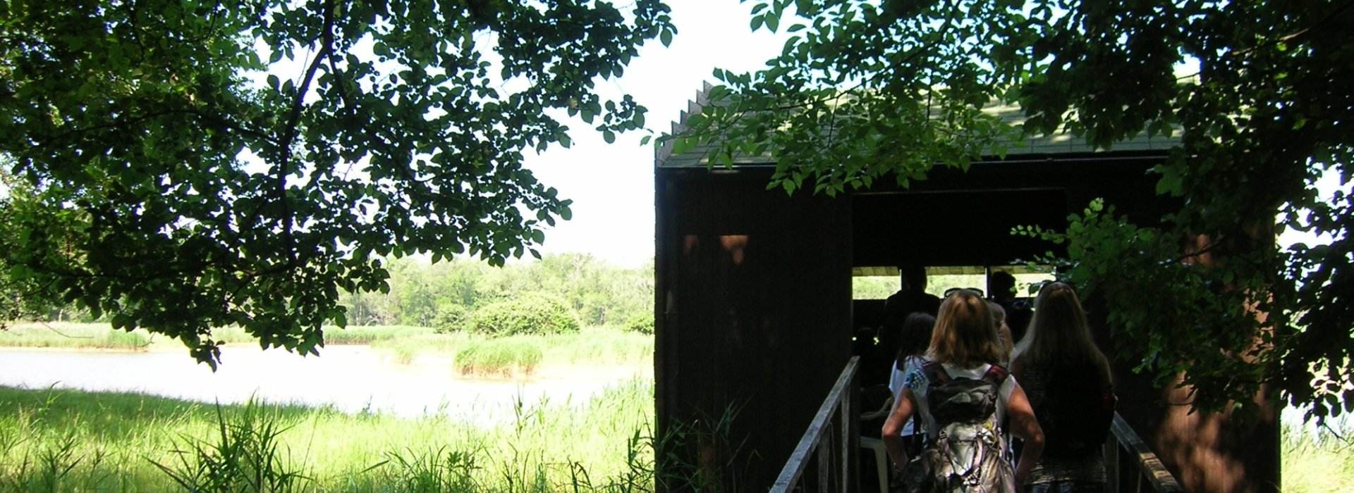 Tenuta di San Rossore: escursione alla Riserva Naturale del Paduletto Tenuta di San Rossore: escursione alla Riserva Naturale del Paduletto