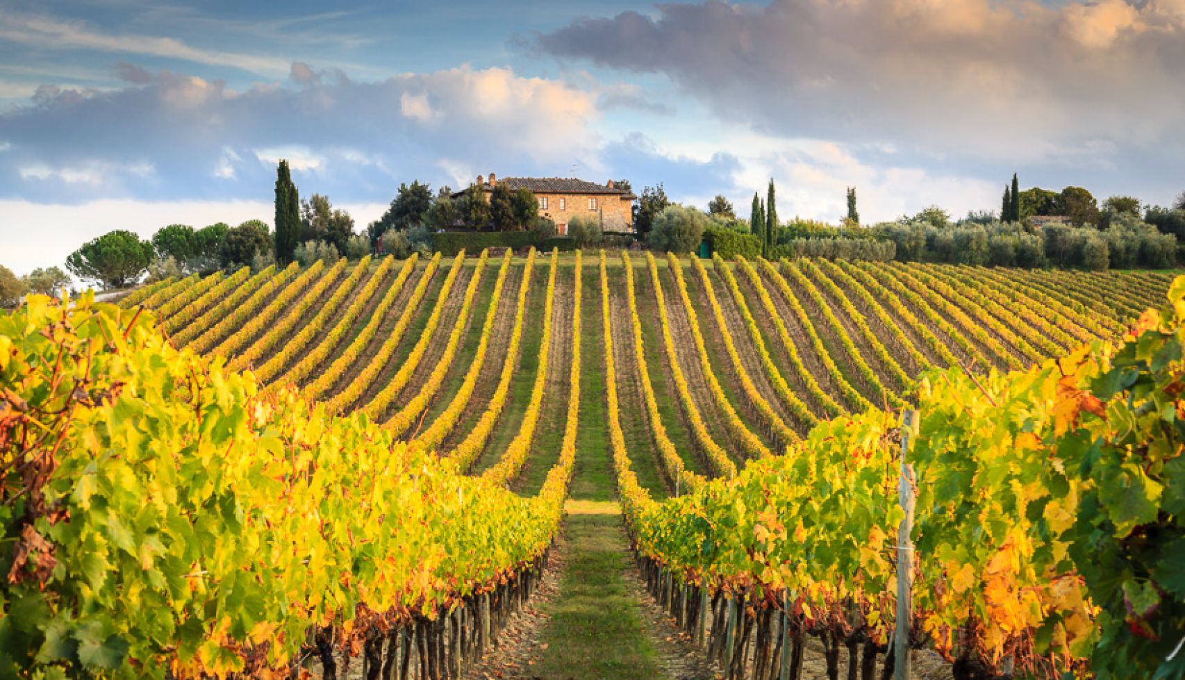 Tour del Chianti per piccoli gruppi con degustazioni e cena