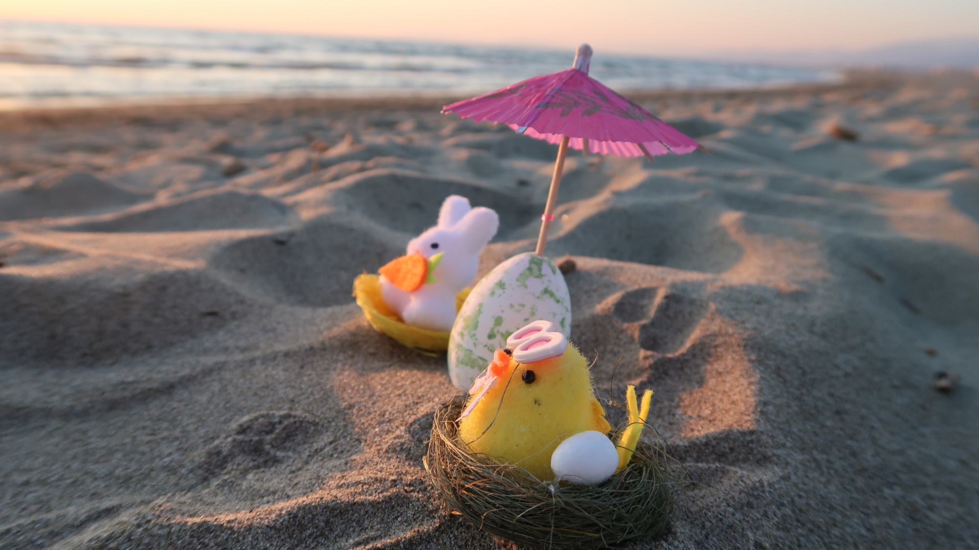 Pasqua a Viareggio presso Hotel Tahiti, a due passi da mare della Versilia