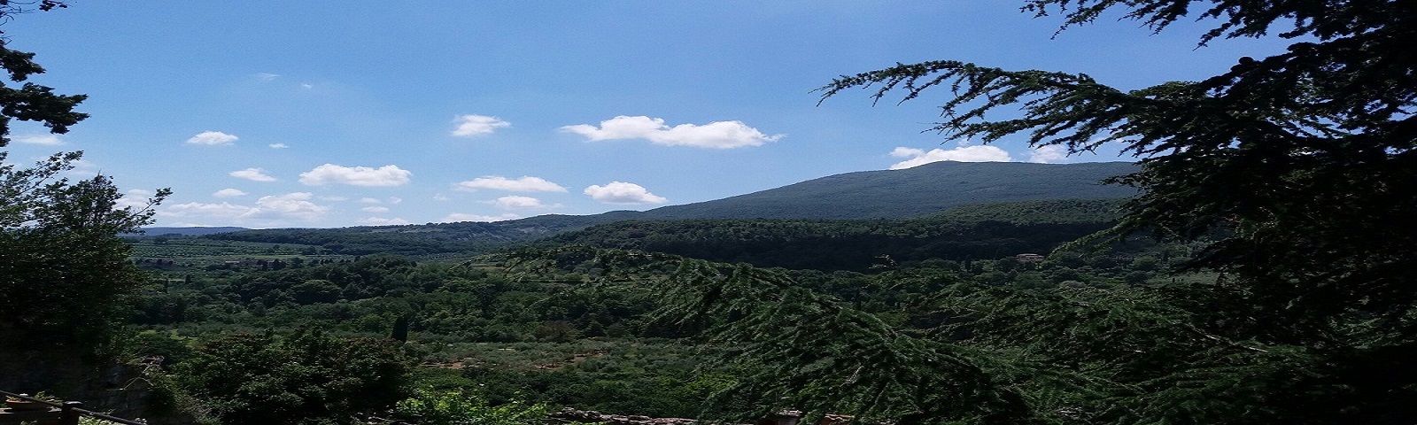 Vista del Monte Cetona Valdichiana Senese Toscana