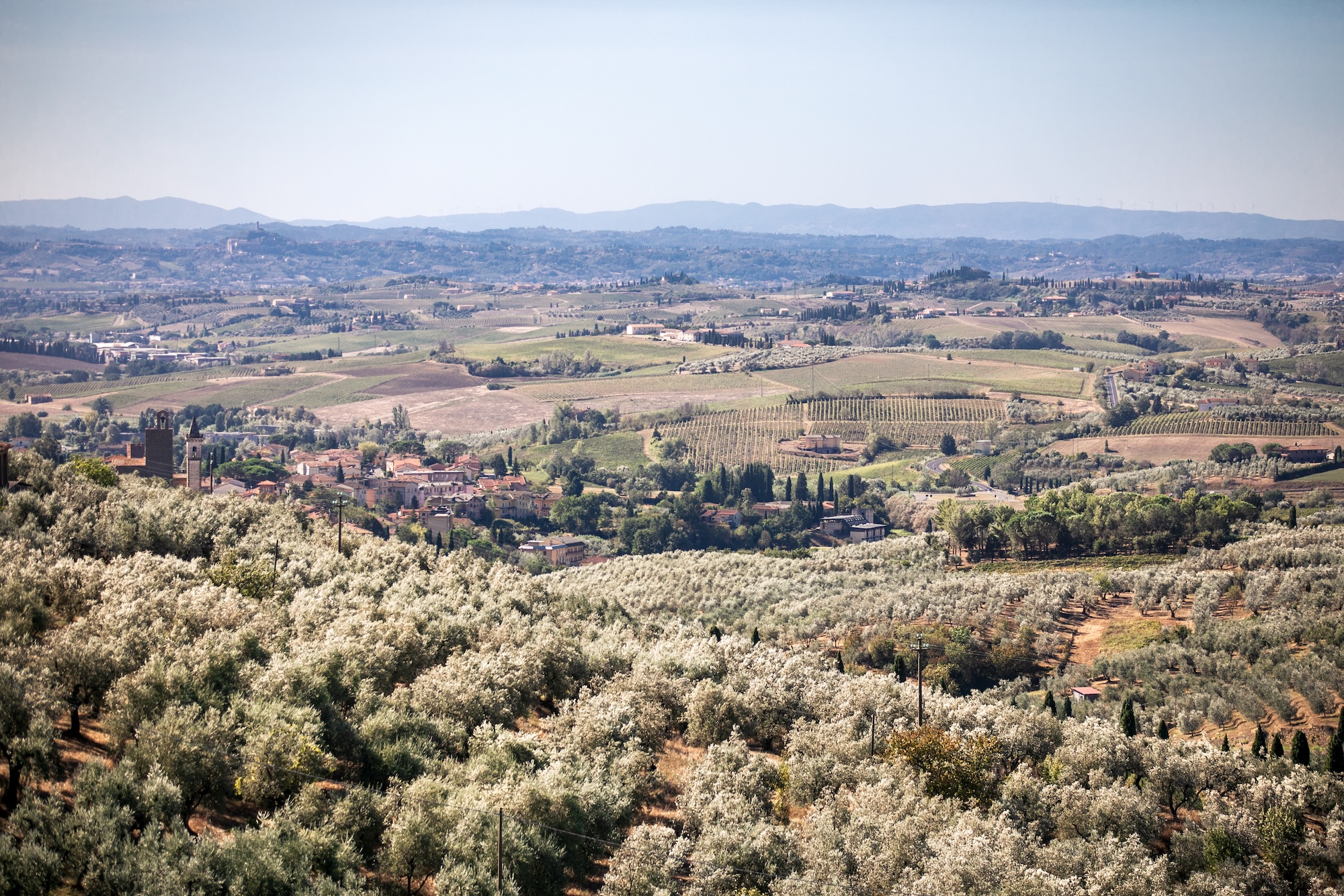 Le colline di Vinci