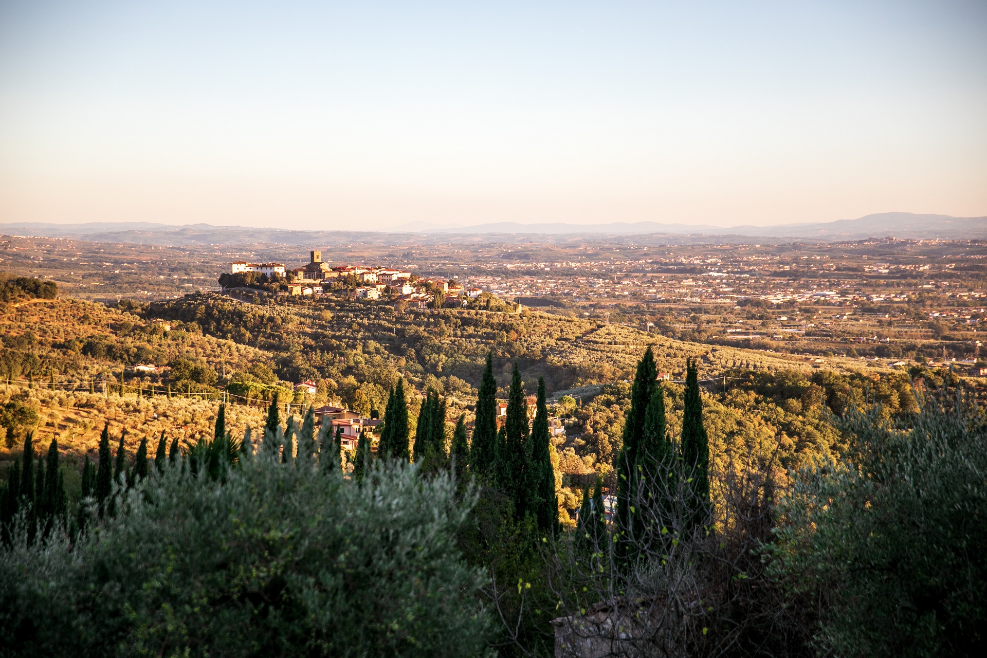 Vista desde Monsummano Alto