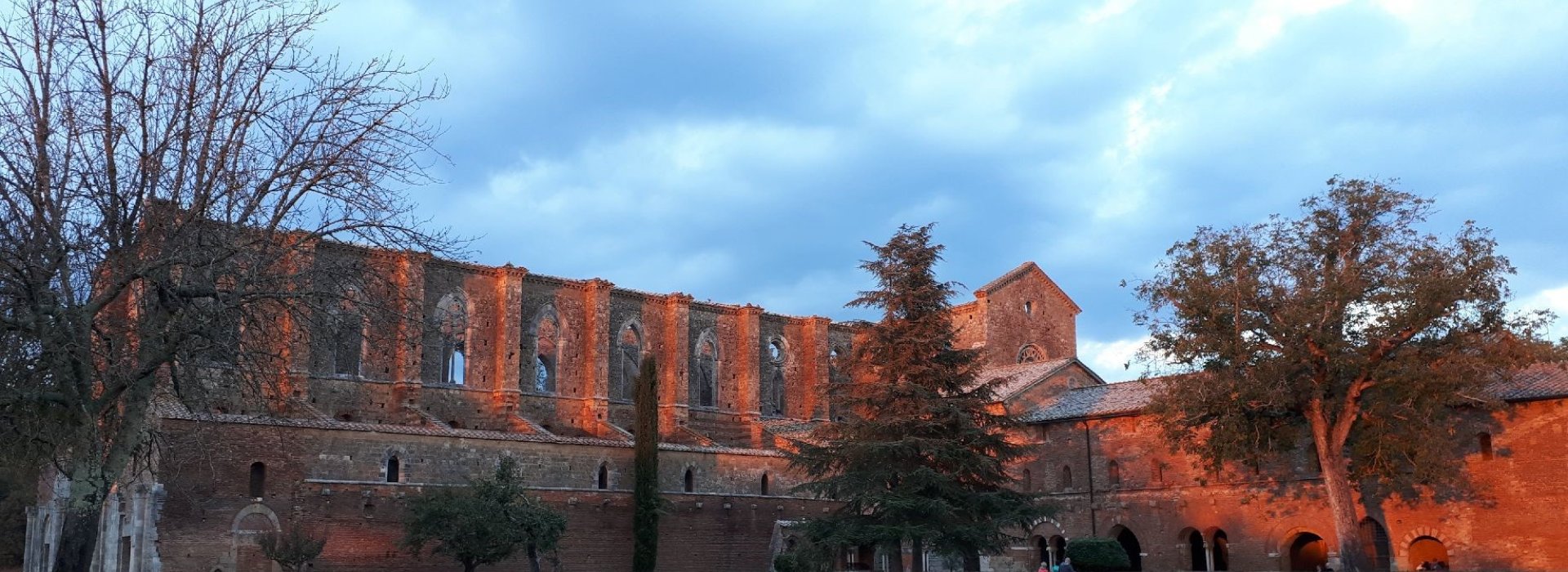 20181021_180348-mod.jpg