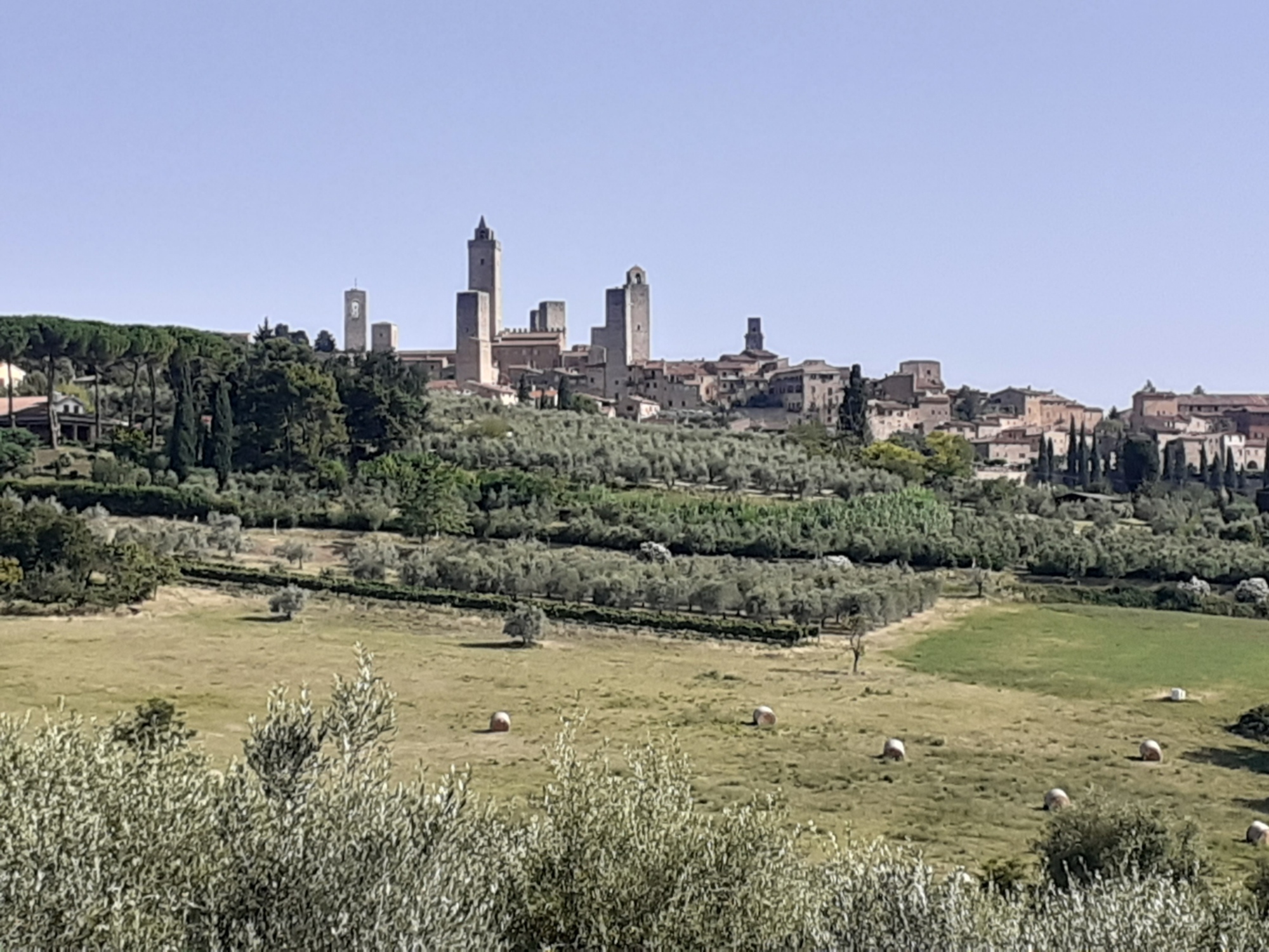 Quattro giorni di cammino sulla Via Francigena, da San Miniato a Siena