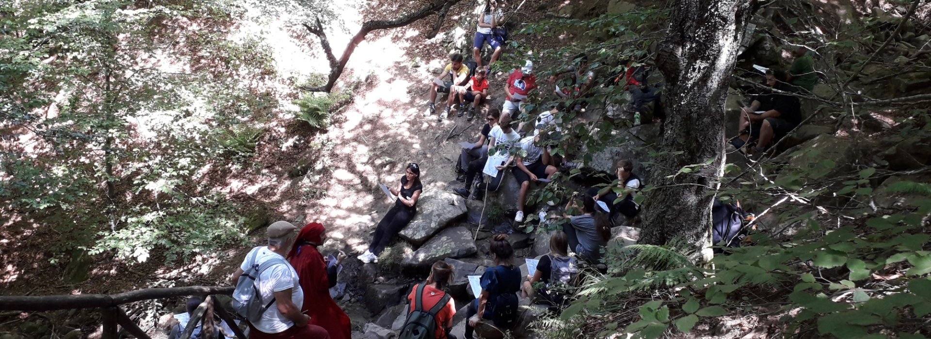 Dantedi' ed i ruscelletti sul Monte Falterona Dantedi' ed i ruscelletti sul Monte Falterona