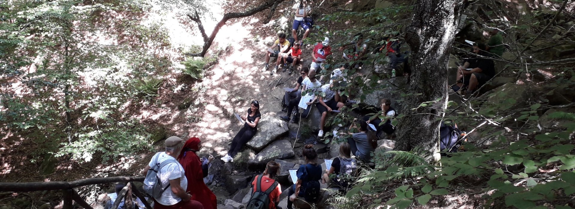 Dantedi' ed i ruscelletti sul Monte Falterona