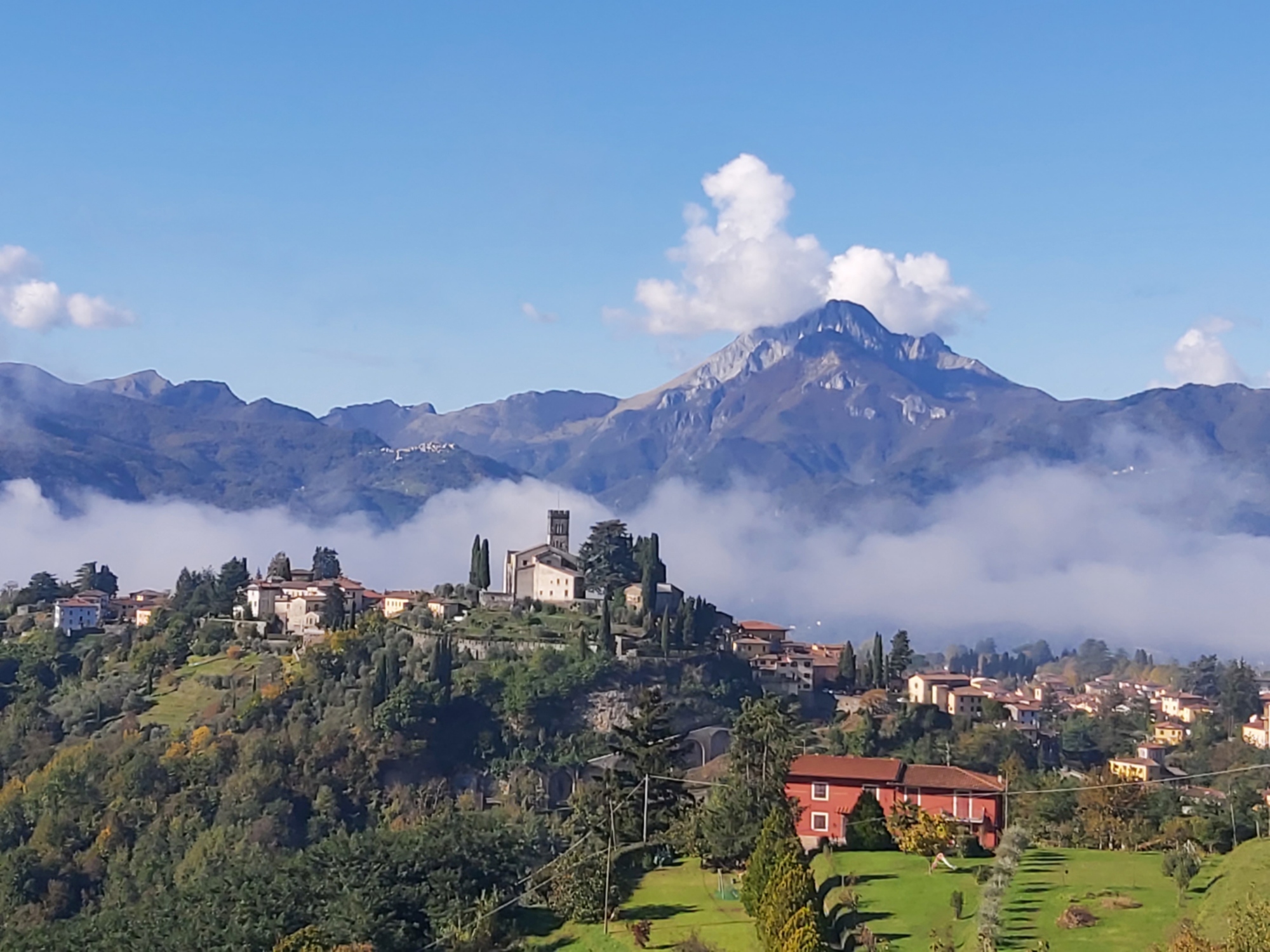 Barga 