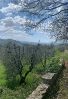 Una settimana di trekking nel centro della Toscana. I bellissimi sentieri della Valdinievole con il Cammino Jacopeo