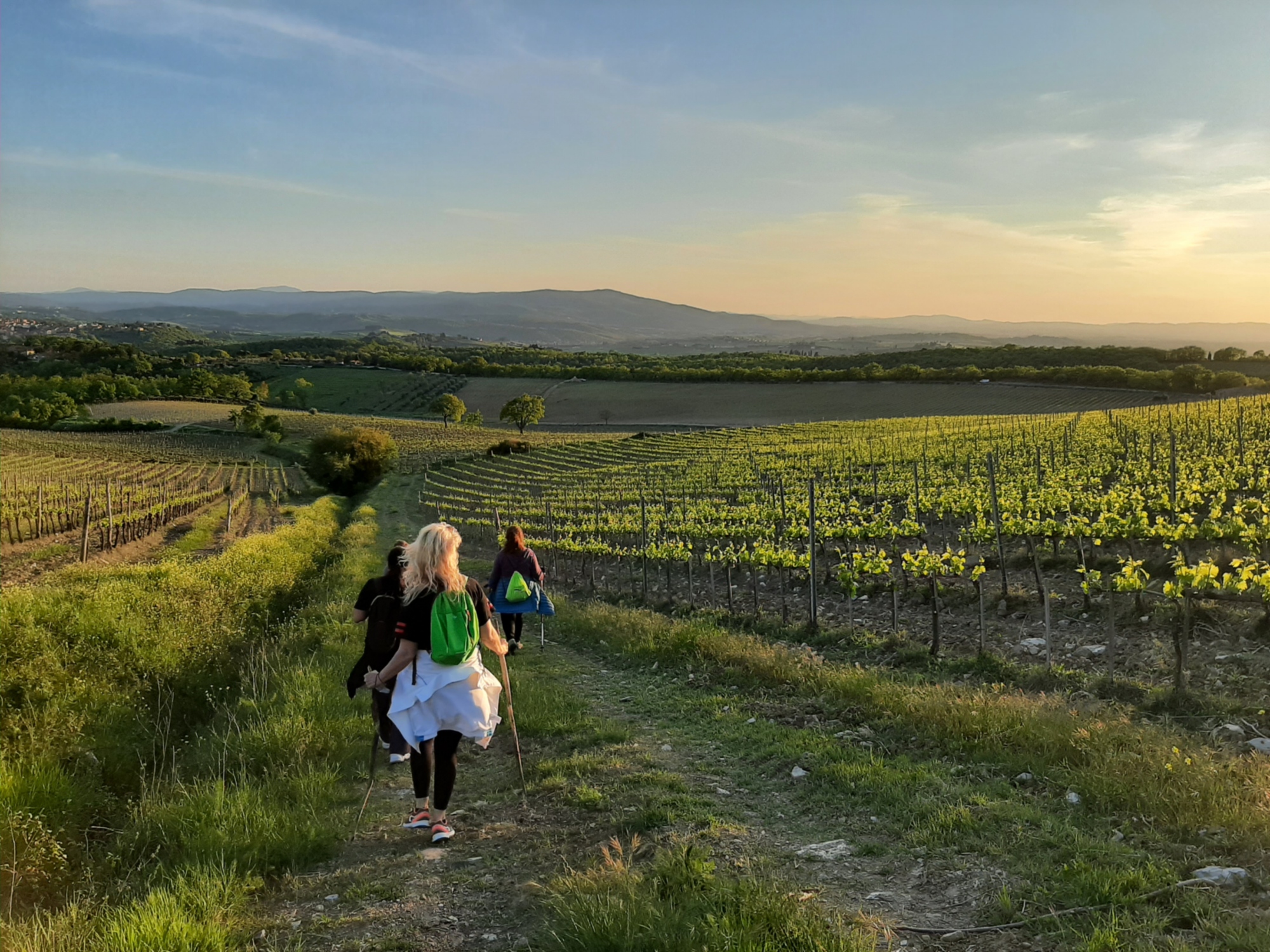 Trekking along the Chianti's vineyards