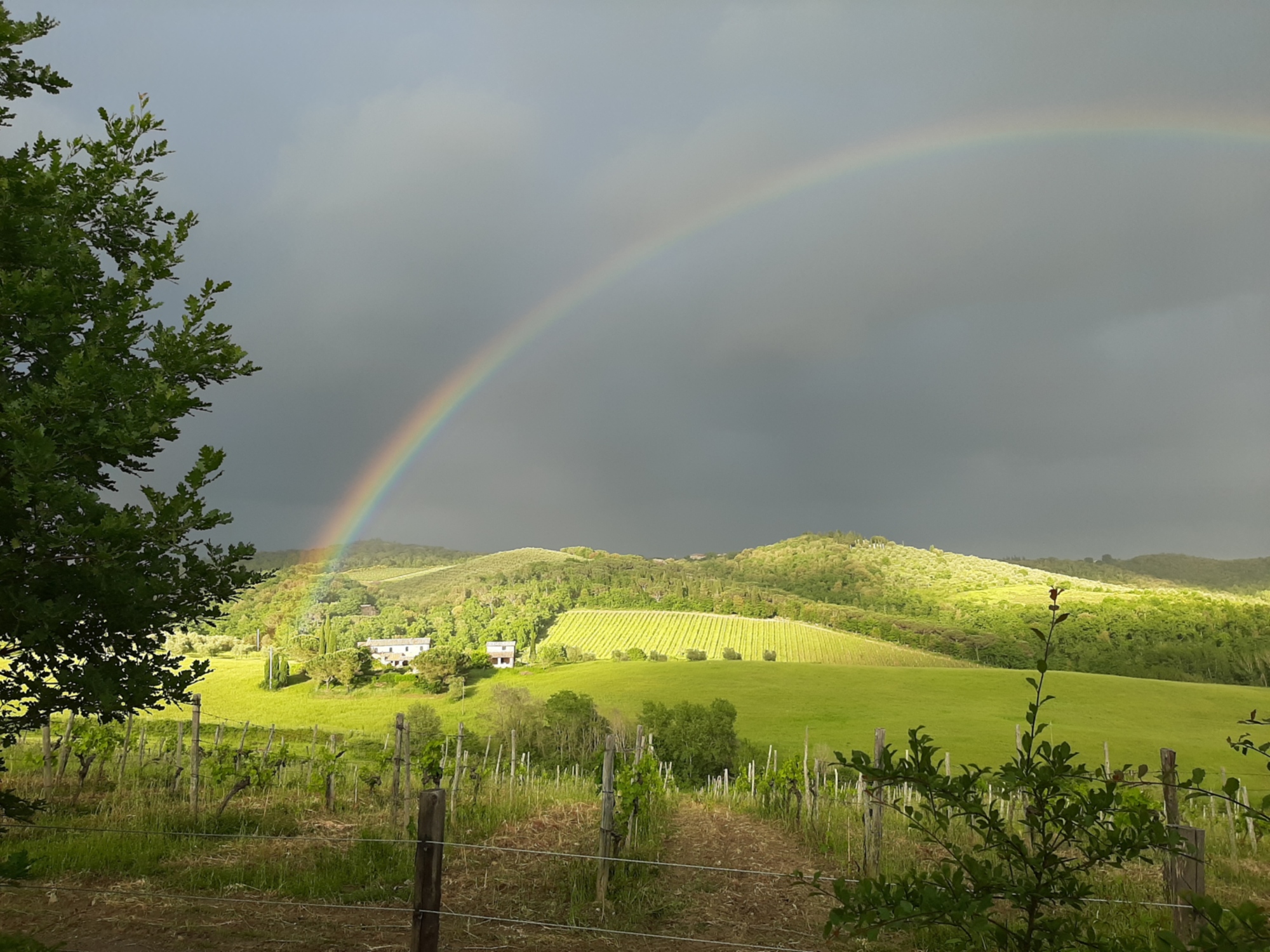 Rainbow in Chianti