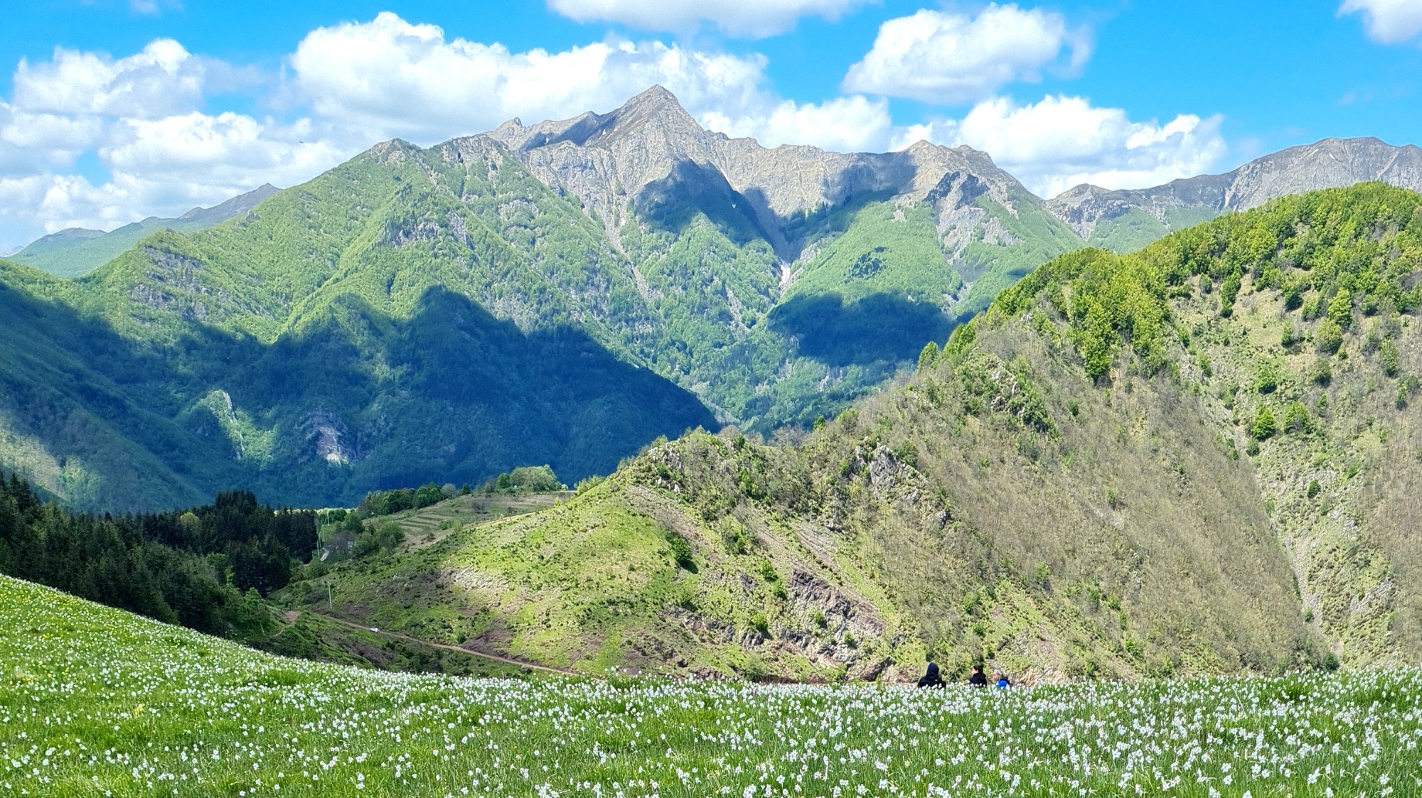 Escursione di 10 km da Montefegatesi a Monte Pratofiorito e Monte Coronato