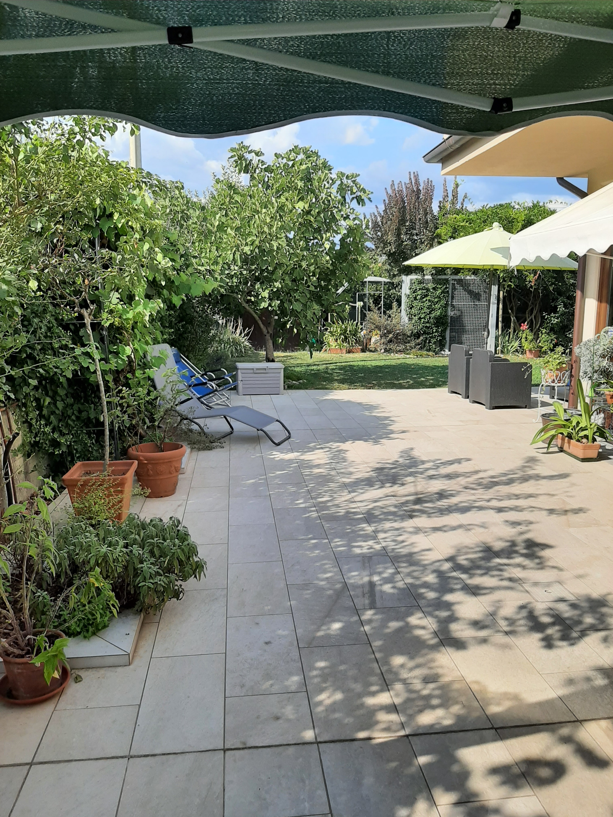 Visita del mercato contadino a Lucca con aperitivo