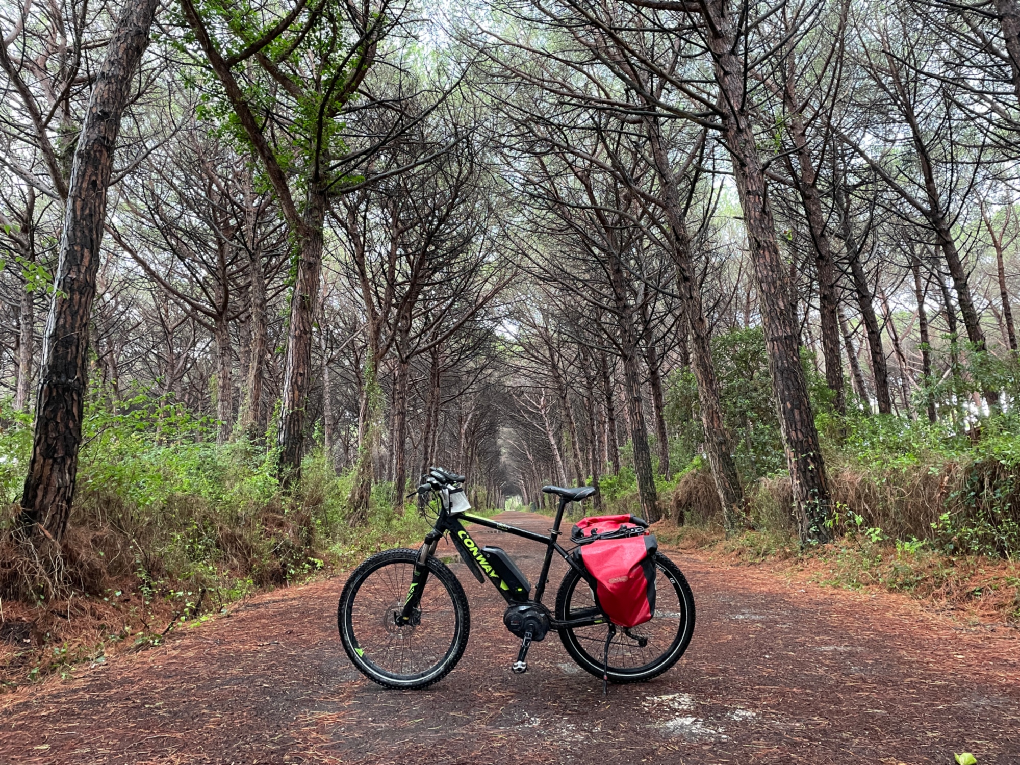 The way of the Tuscan coast by bike