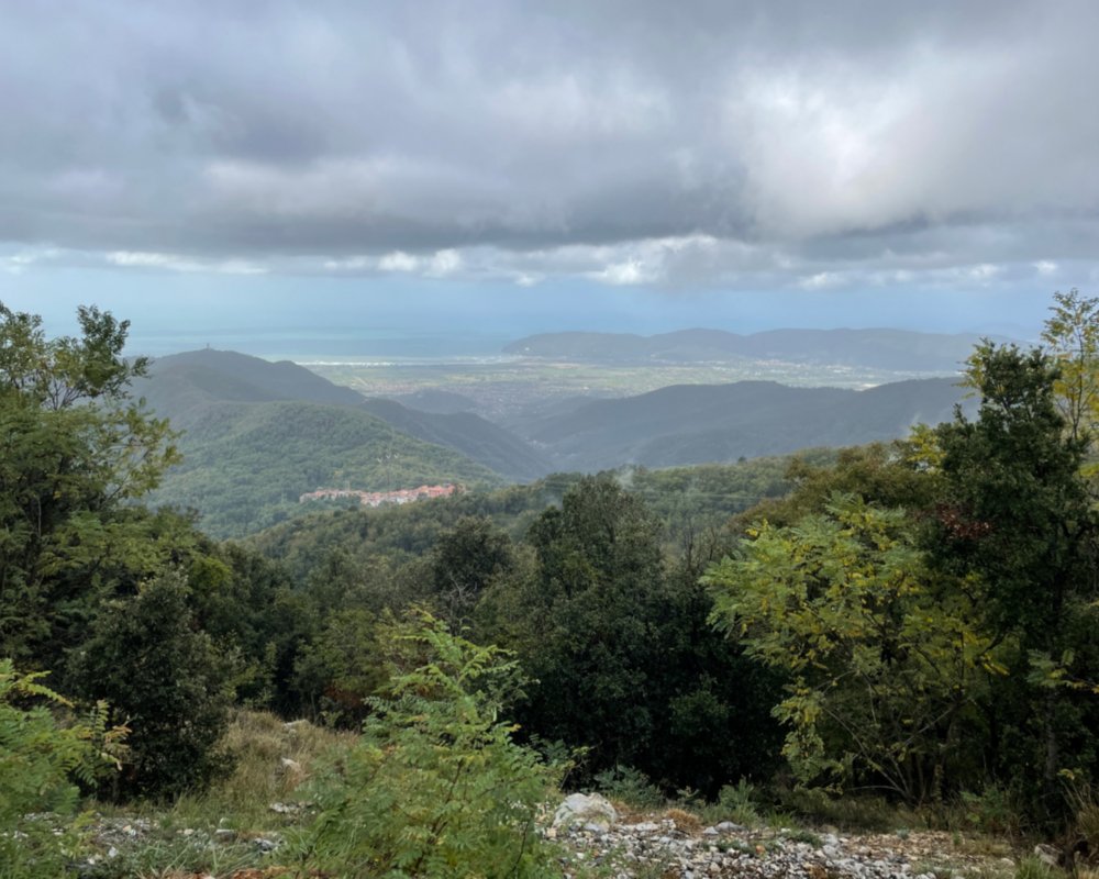 Forests and views of the Apuan Riviera