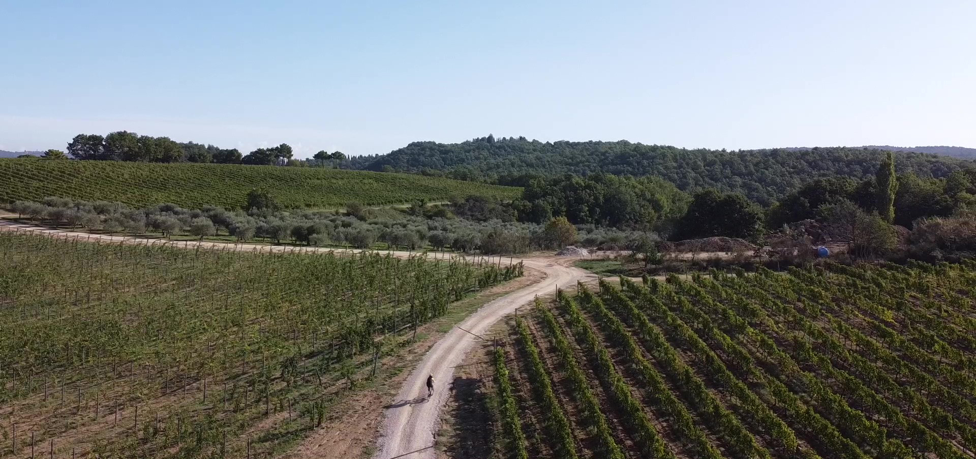 A unique and unforgettable bike trip of a week in the hearth of Tuscany
