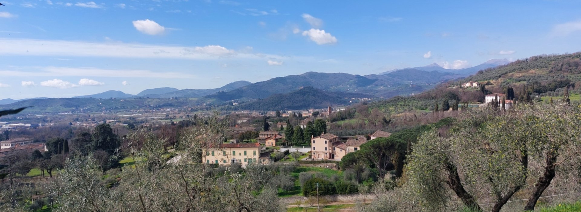 Tour delle ville nella campagna lucchese Tour delle ville nella campagna lucchese