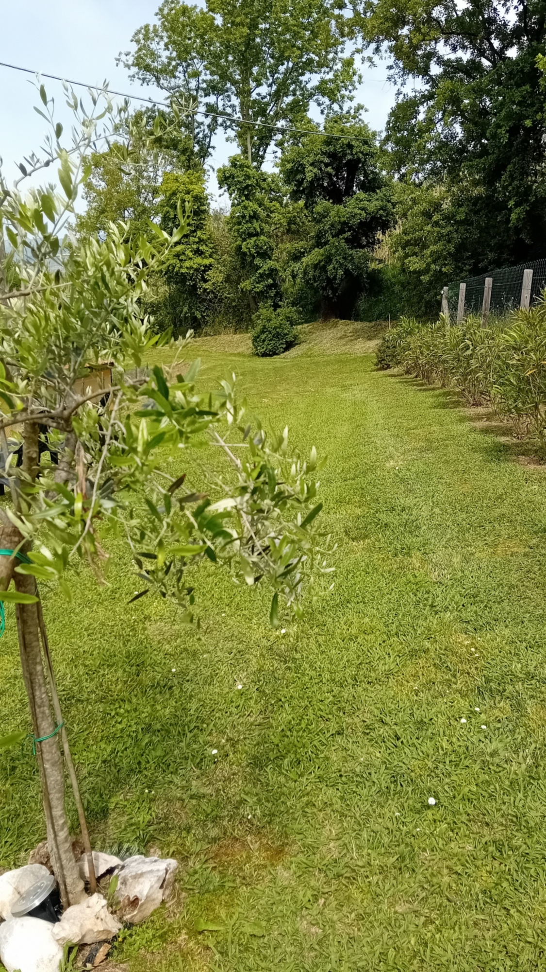 Casa Vacanze I Cipressi ideale per famiglie e gruppi nella campagna lucchese