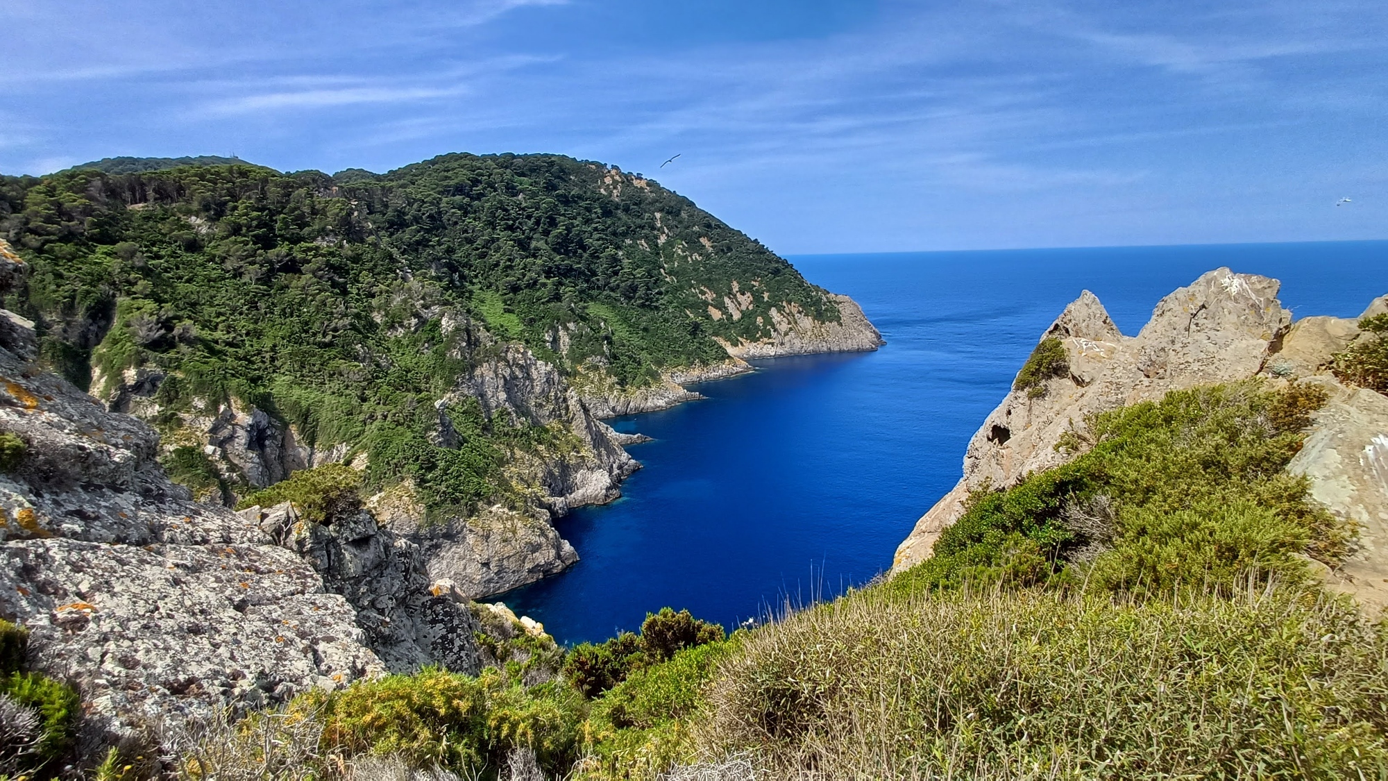 Trekking e visita all'isola di Gorgona