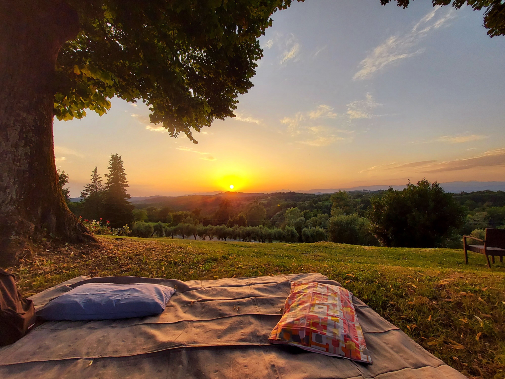 Francigena winetrek: escursione e degustazione al tramonto