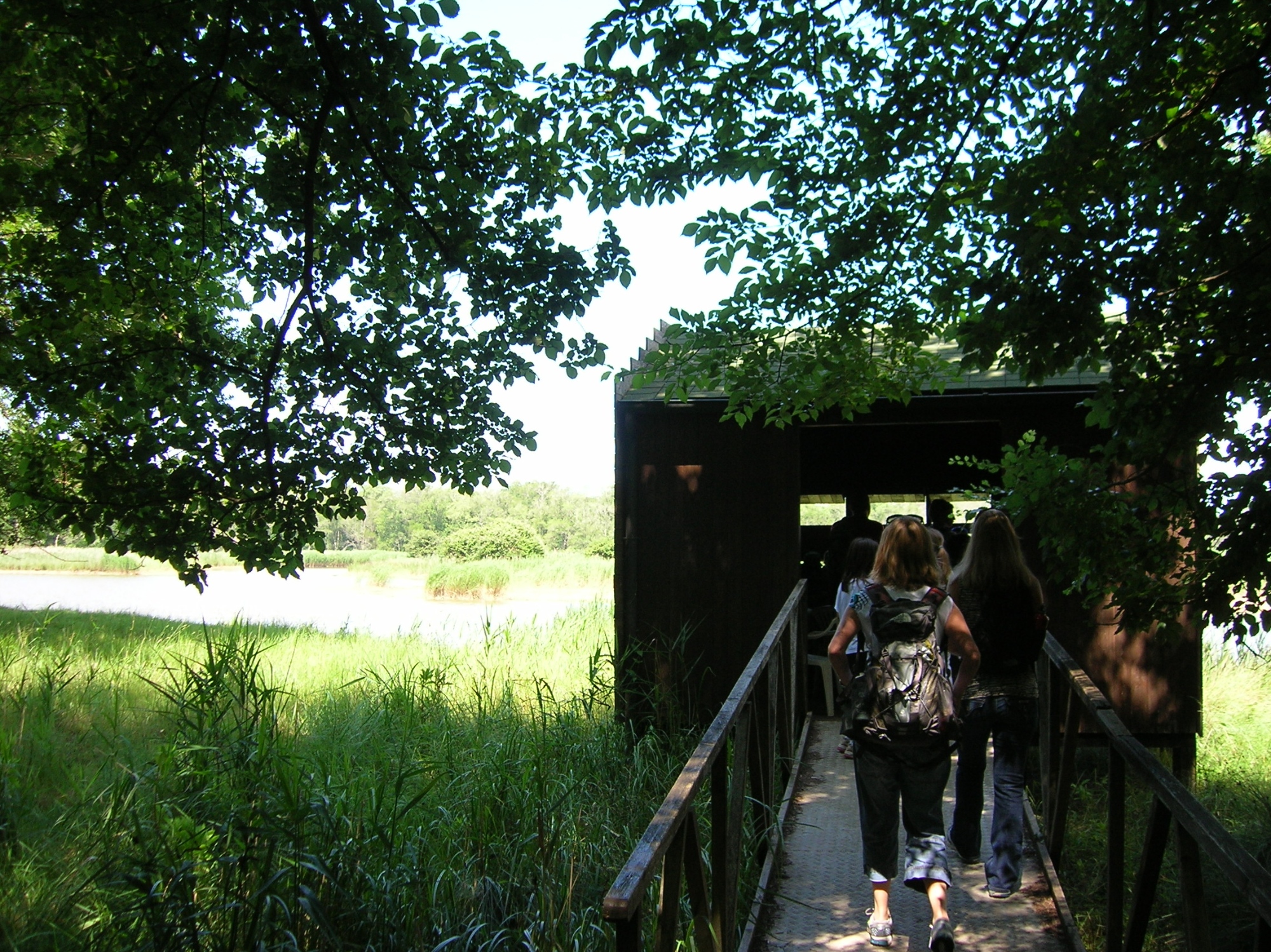 Tenuta di San Rossore: escursione alla Riserva Naturale del Paduletto