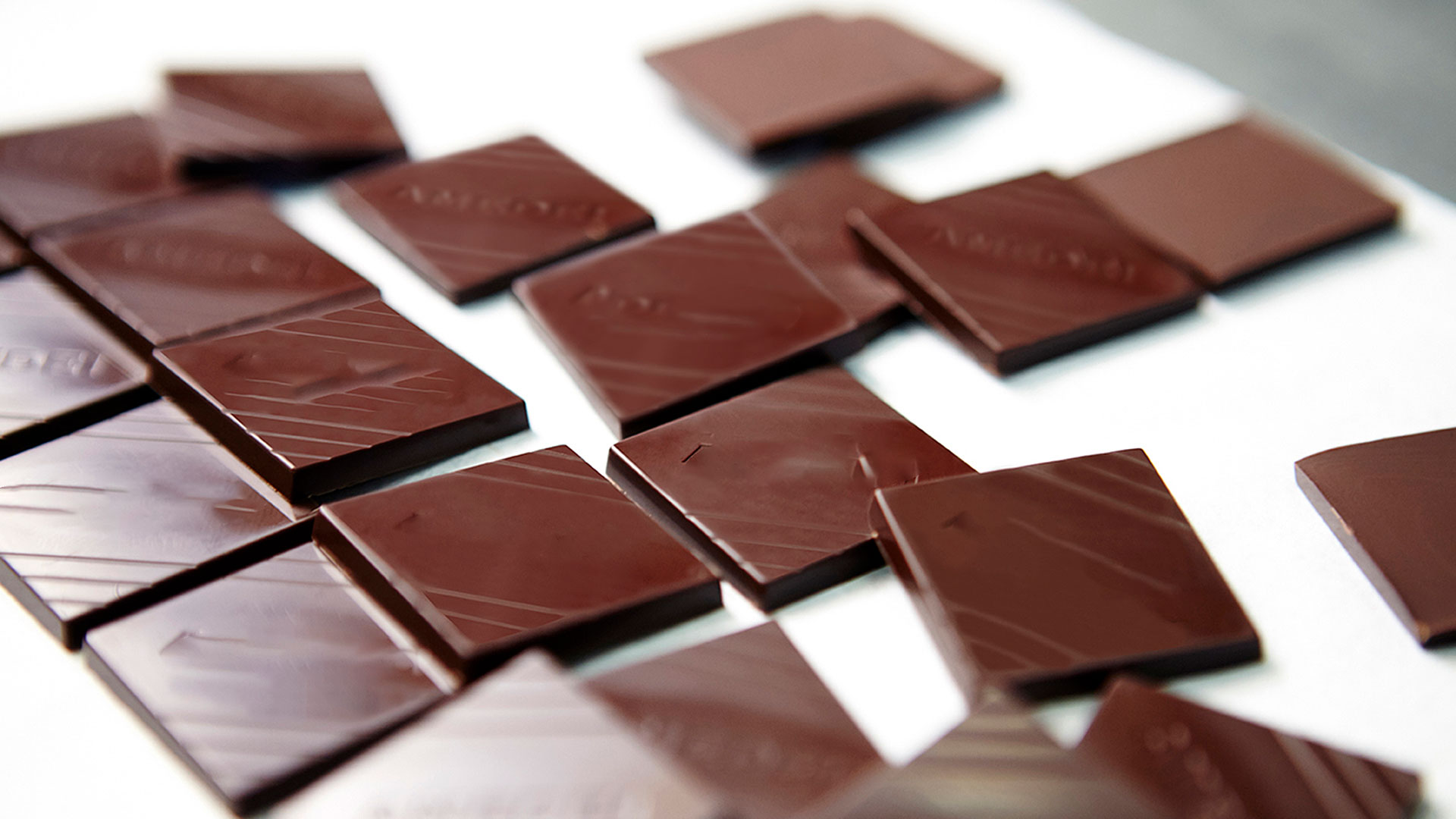 Food & Wine easy private tour: chocolate, lunch, wine tasting