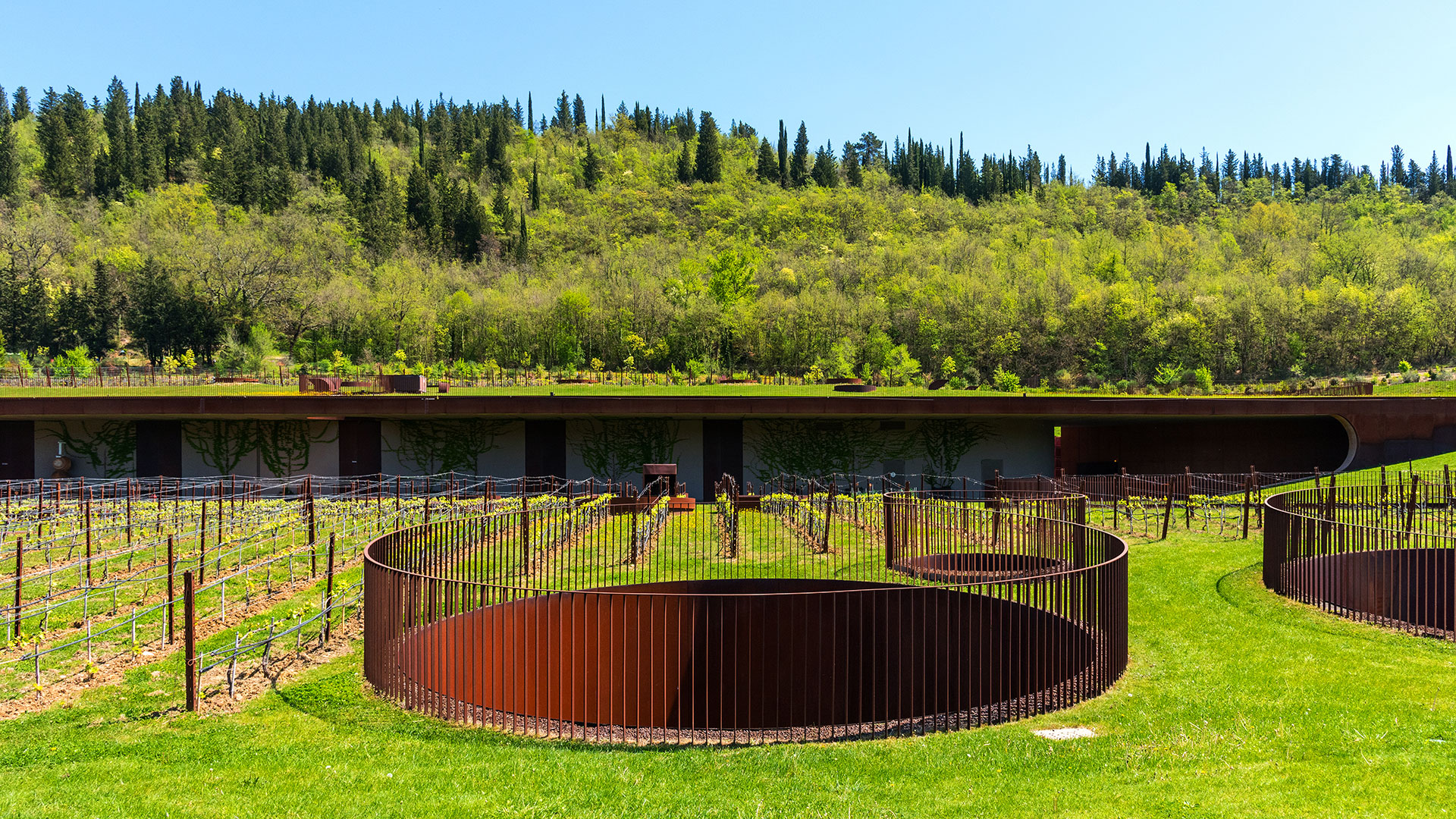 antinori-wine-tour-chianti-classico