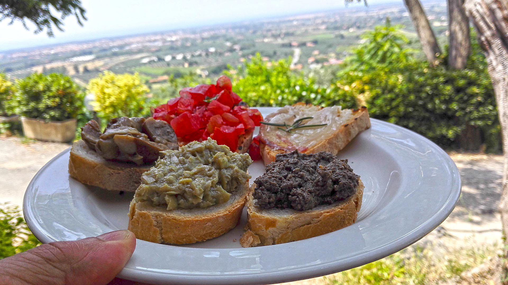 antinori-winery-visit-chianti-classico