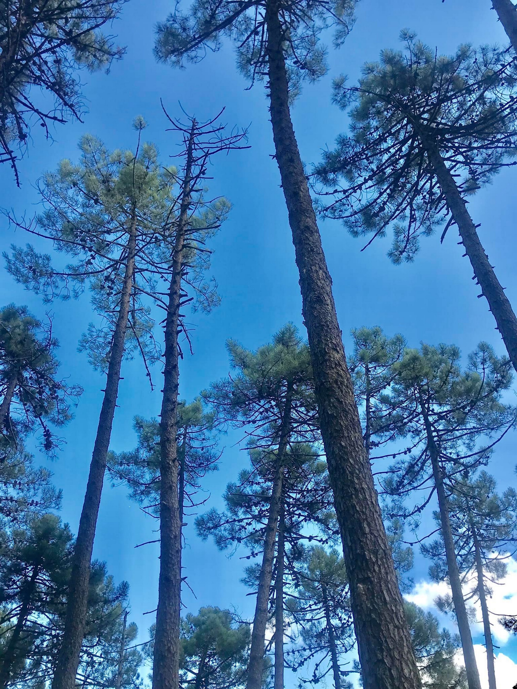 Geo-Trekking nel Monteferrato