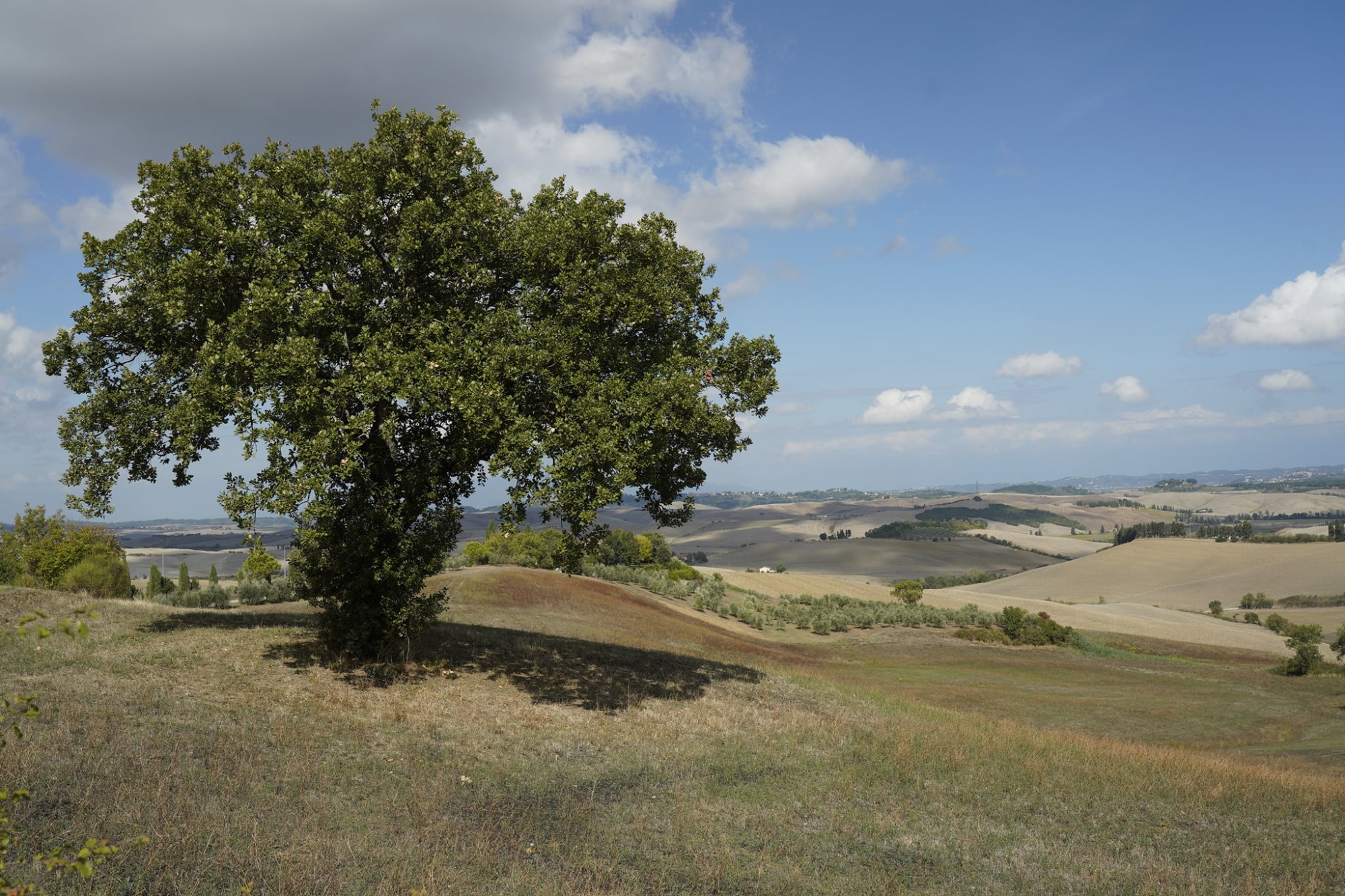 Teatro del Silenzio, Trekking Serale del Solstizio d'Estate
