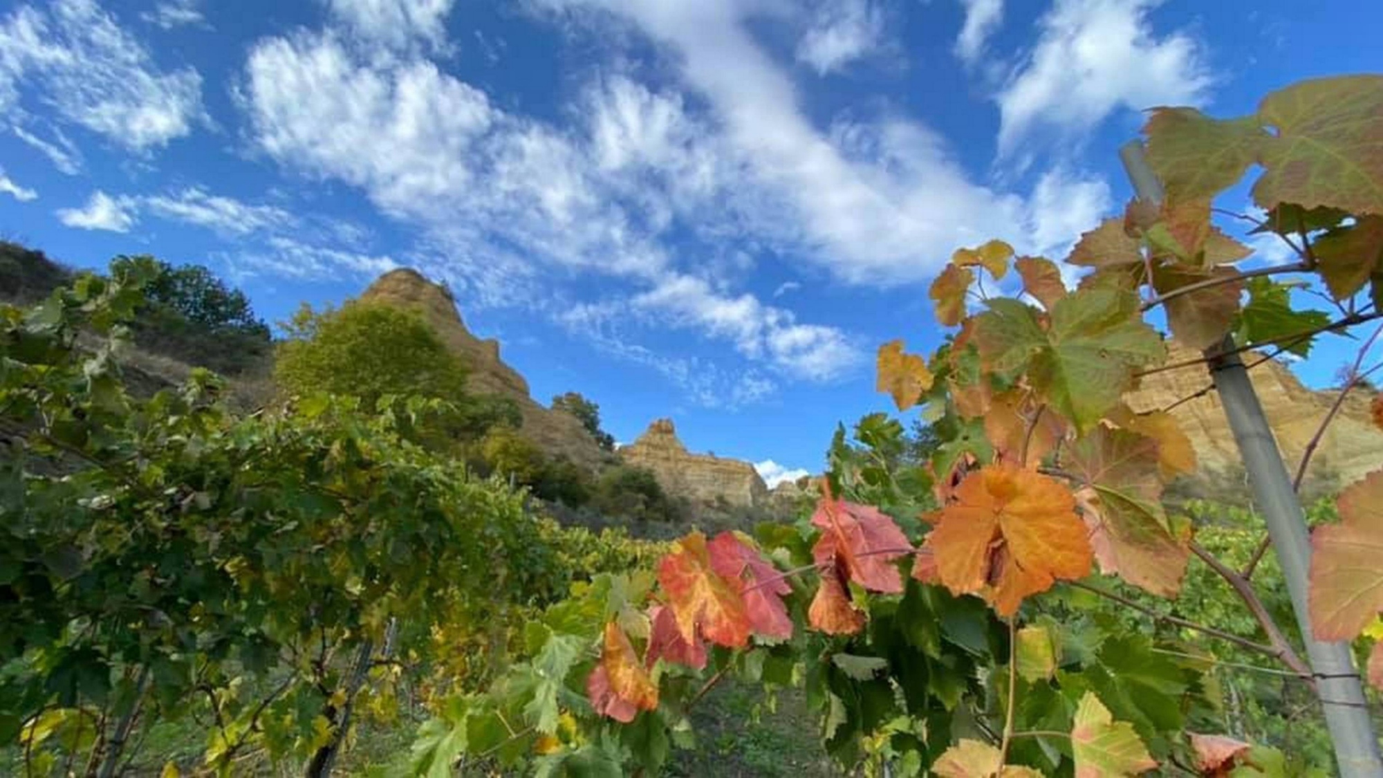 Tour le Balze del Valdarno