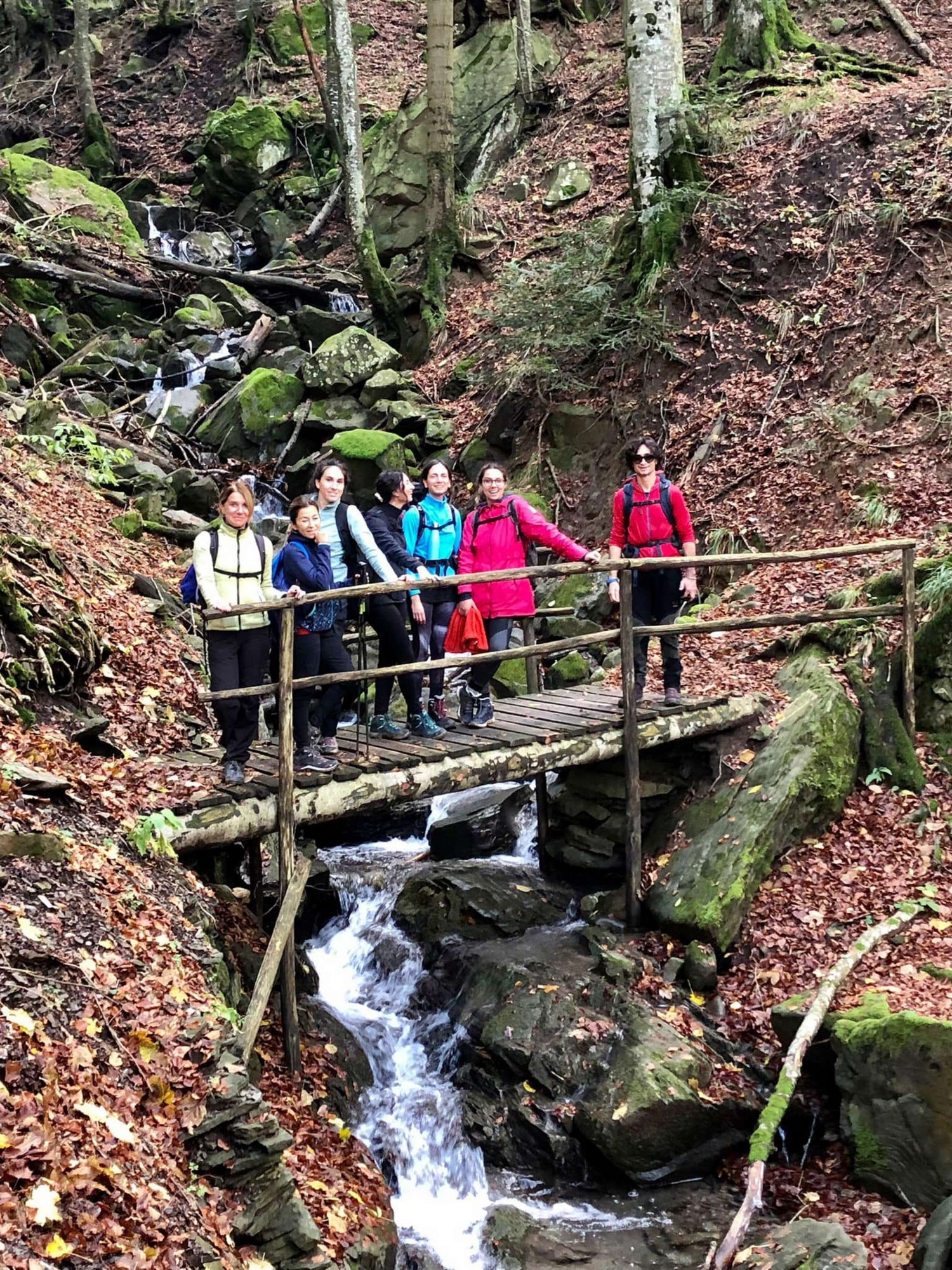 Un tour alla scoperta della straordinaria Foresta della Lama