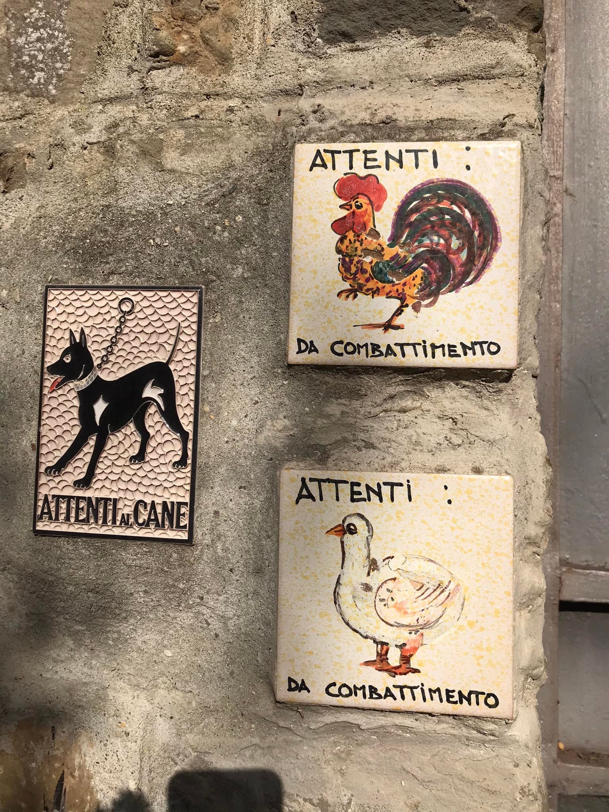 Florence urban trekking