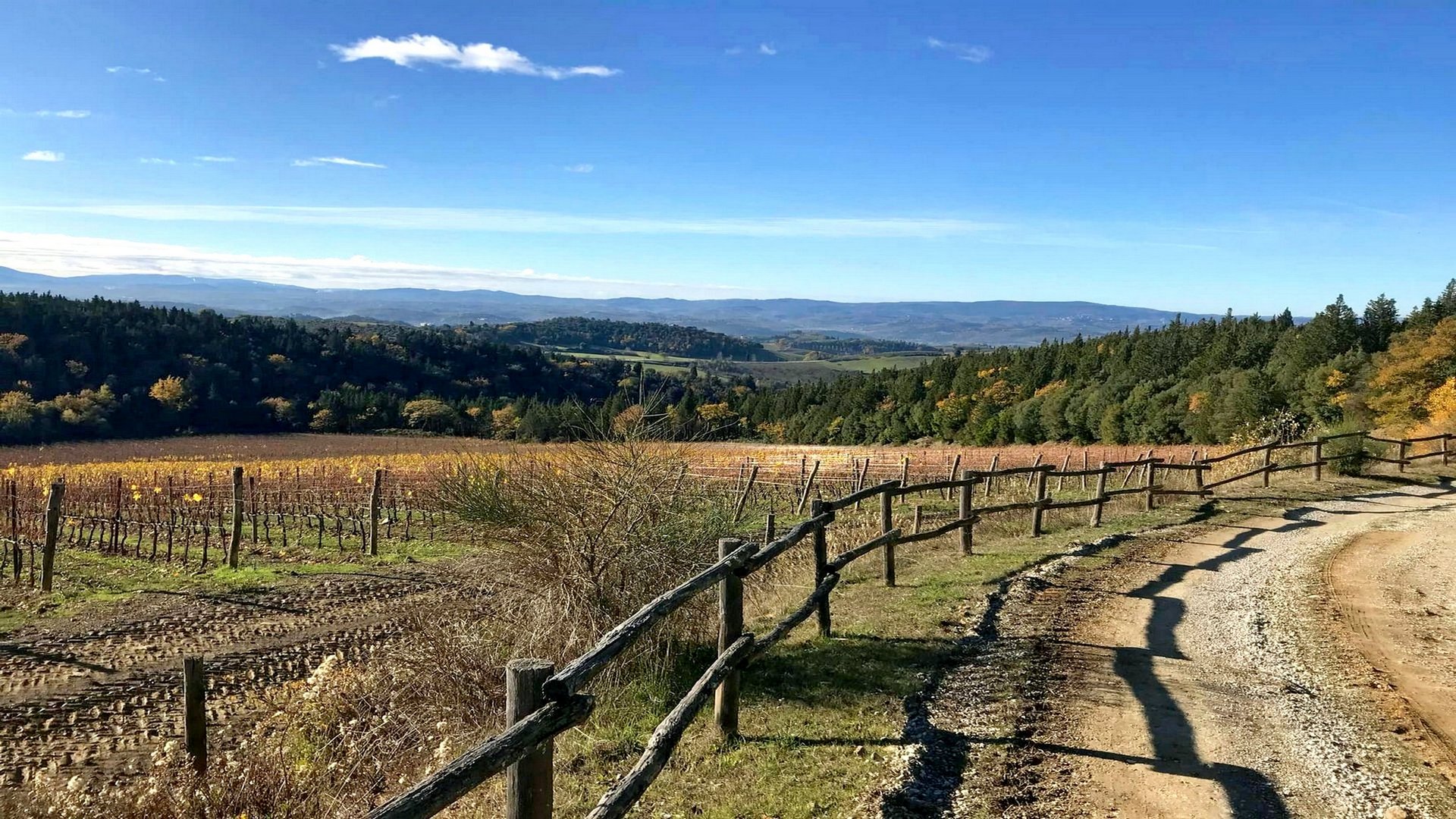 Monterufoli, Puntone di Farneta & Bocca di Secolo