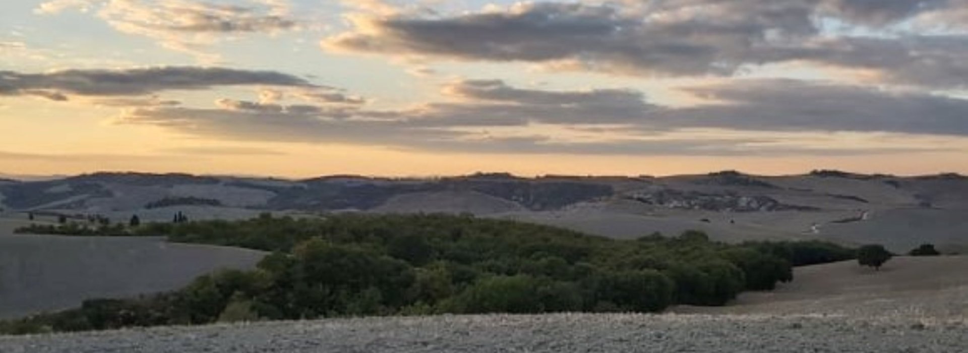 Trekking guidato in Val D’Orcia da San Quirico a Bagno Vignoni Lo splendido paesaggio naturale della Val d'Orcia