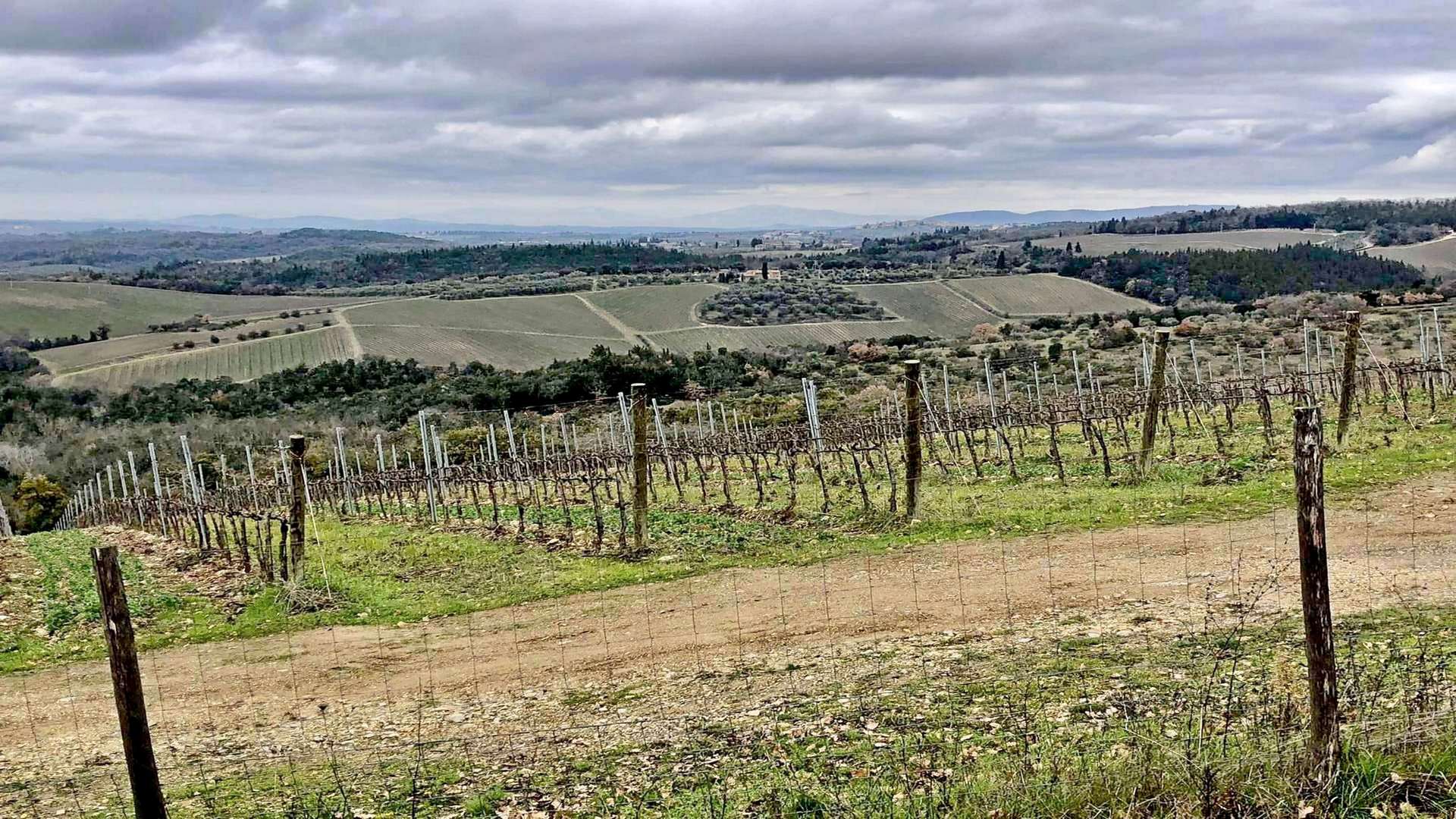 Tour nel Chianti Classico
