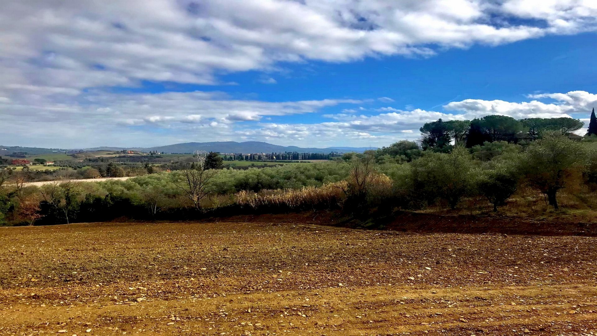 Trekking through the Medici countryside of the Montalbano area, near Florence