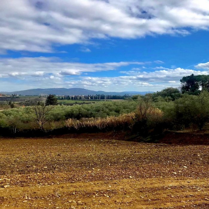Trekking through the Medici countryside of the Montalbano area, near Florence