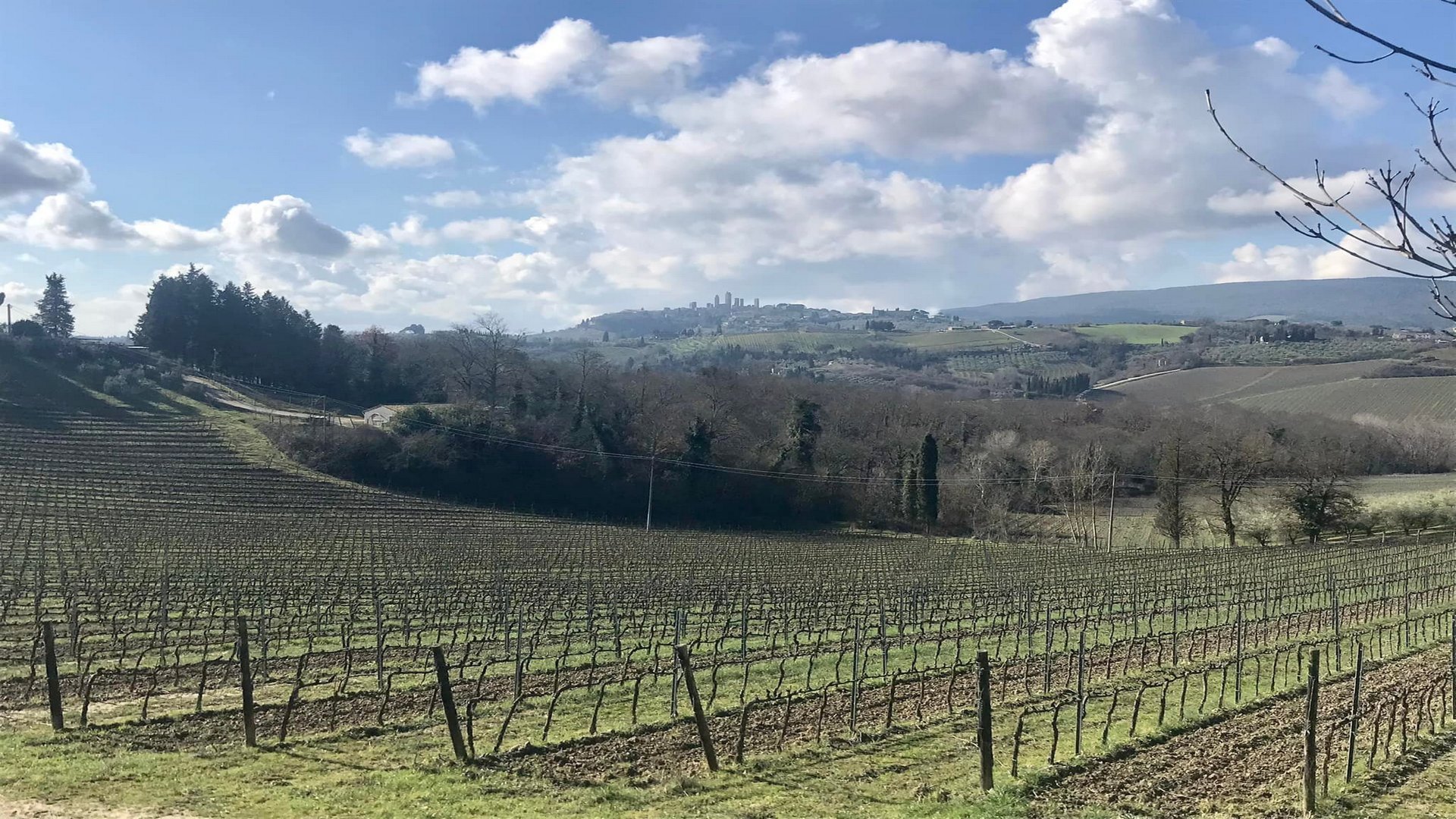 Tour sulla Via Francigena da San Miniato a San Gimignano