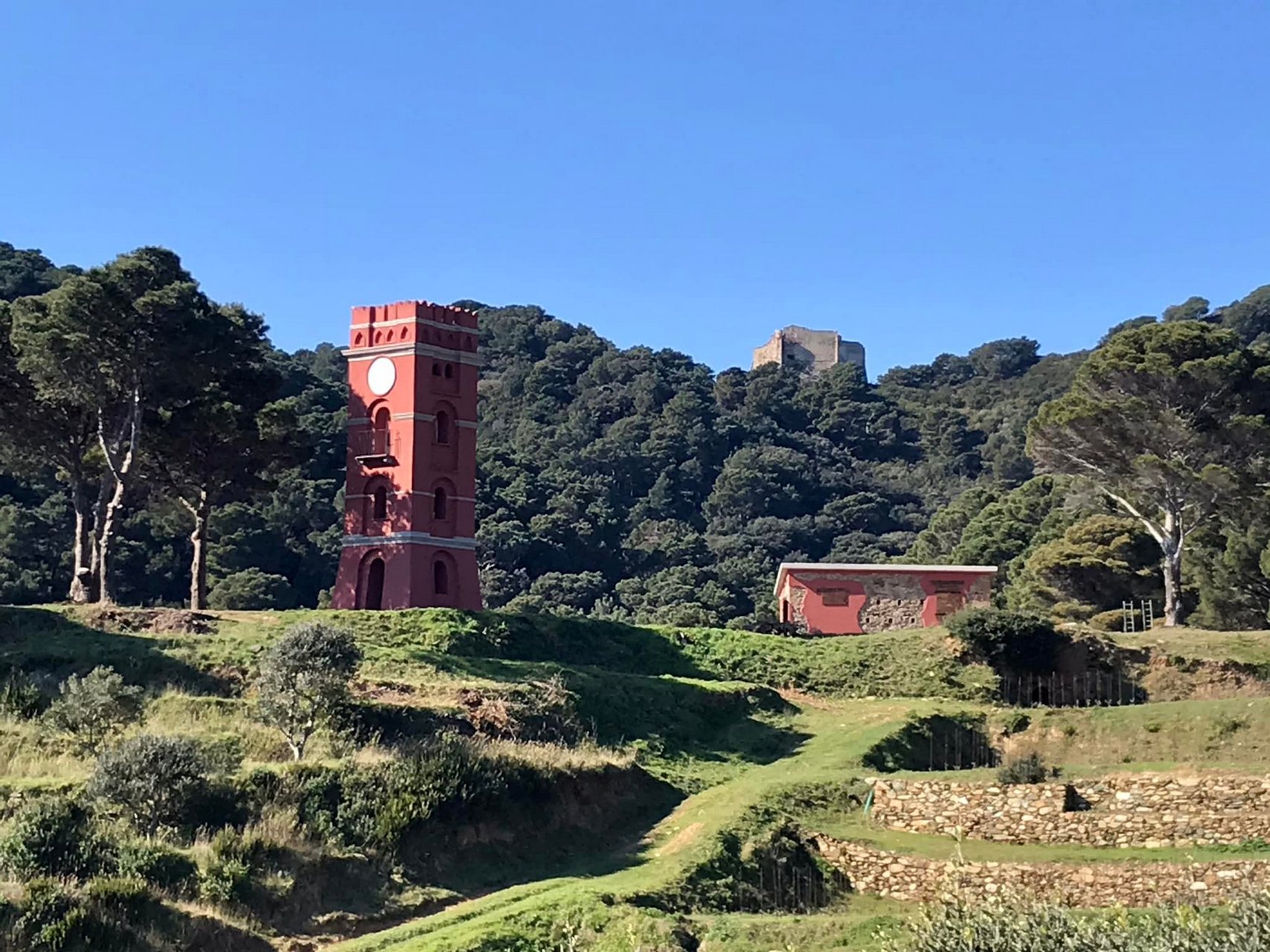 Escursione all'isola di Gorgona, l'isola più esclusiva e tutelata dell’Arcipelago Toscano