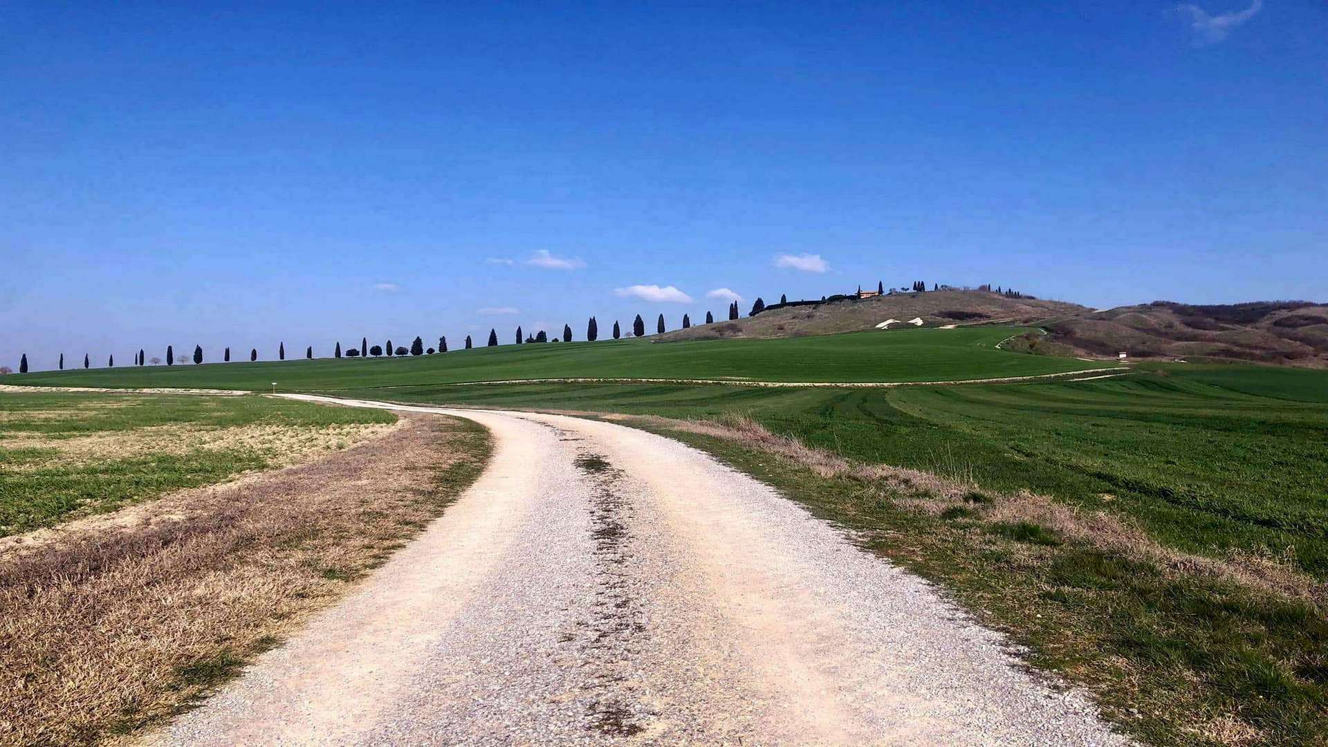 Castelfiorentino: trekking sulla Via Francigena