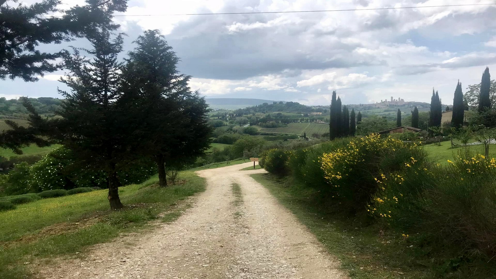 Trekking natalizio tra le torri di San Gimignano