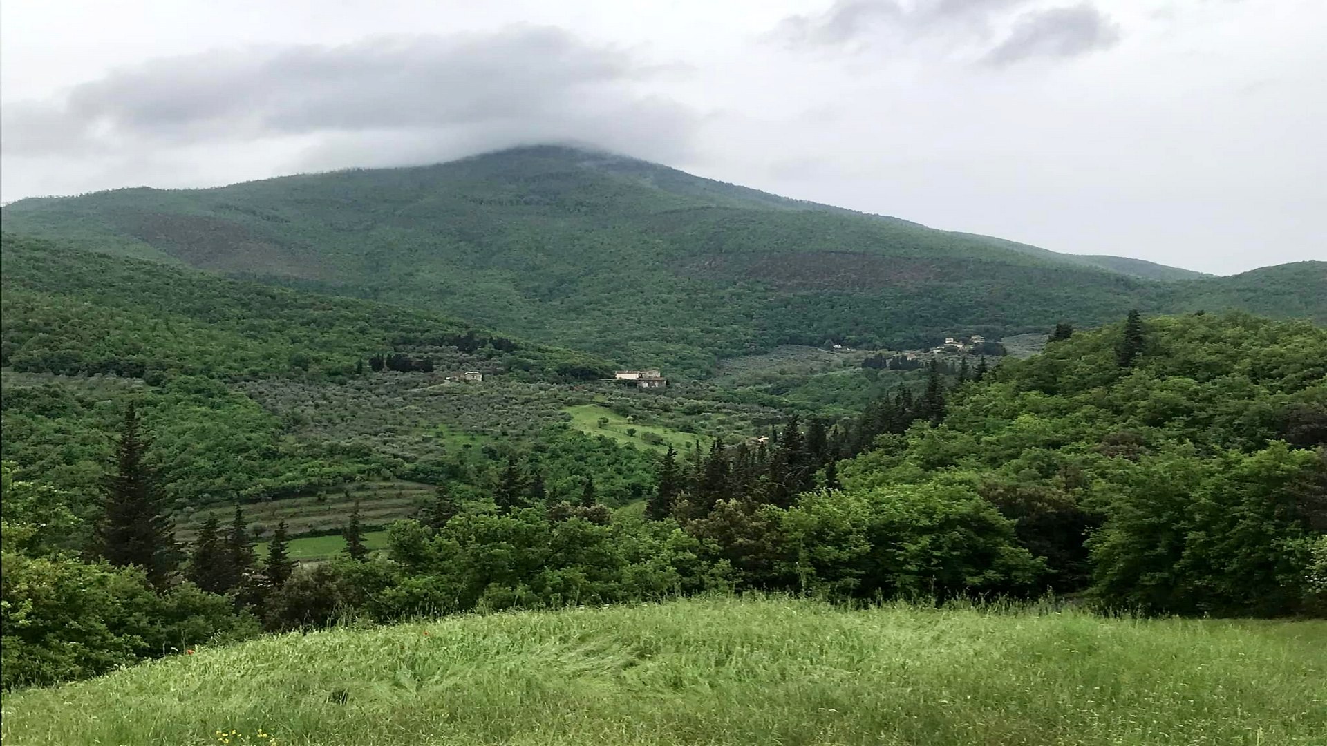 A beautiful sunset walk suitable for children on the hills between Calenzano and Florence countryside