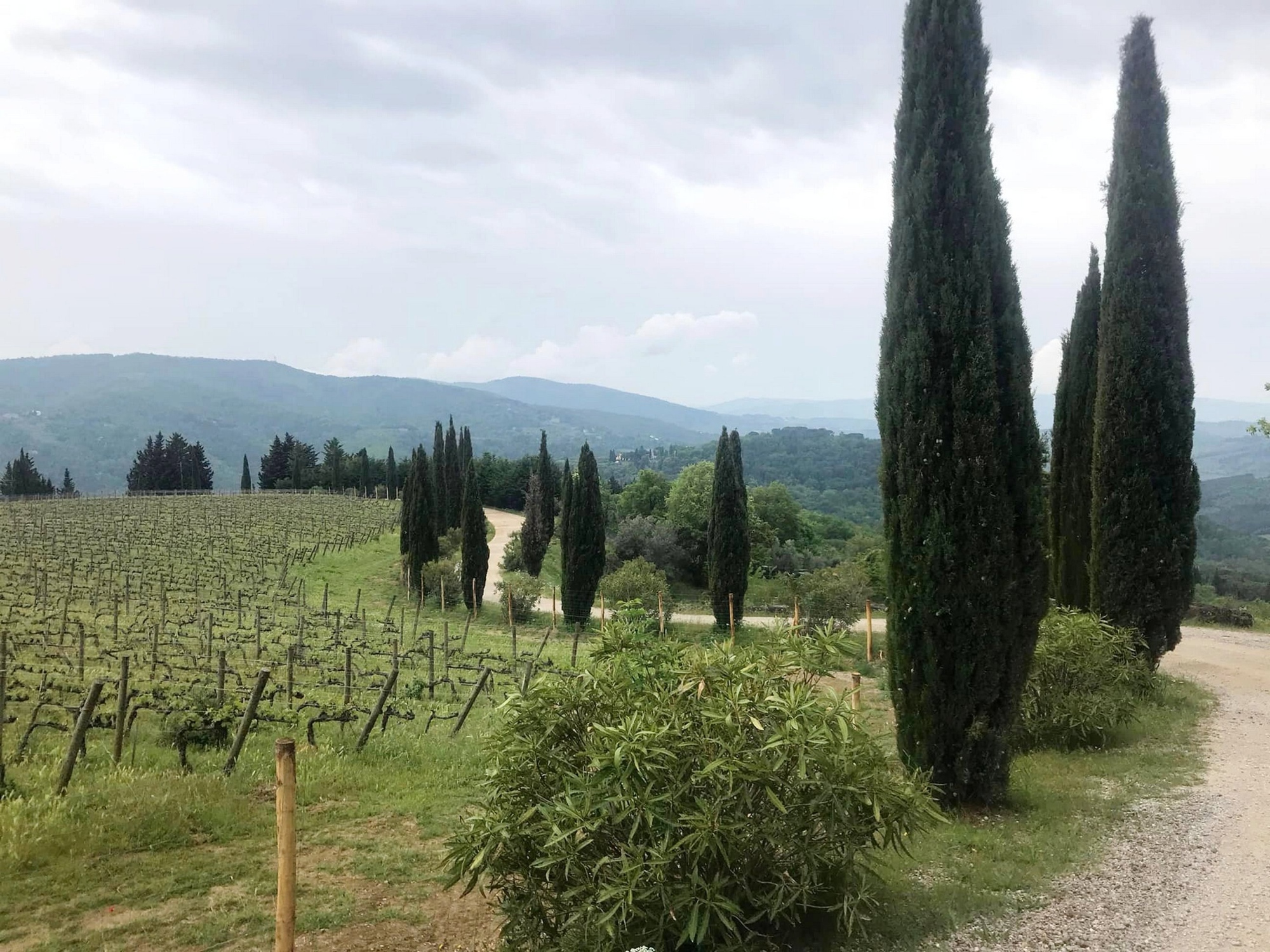 Tour nel Chianti Classico